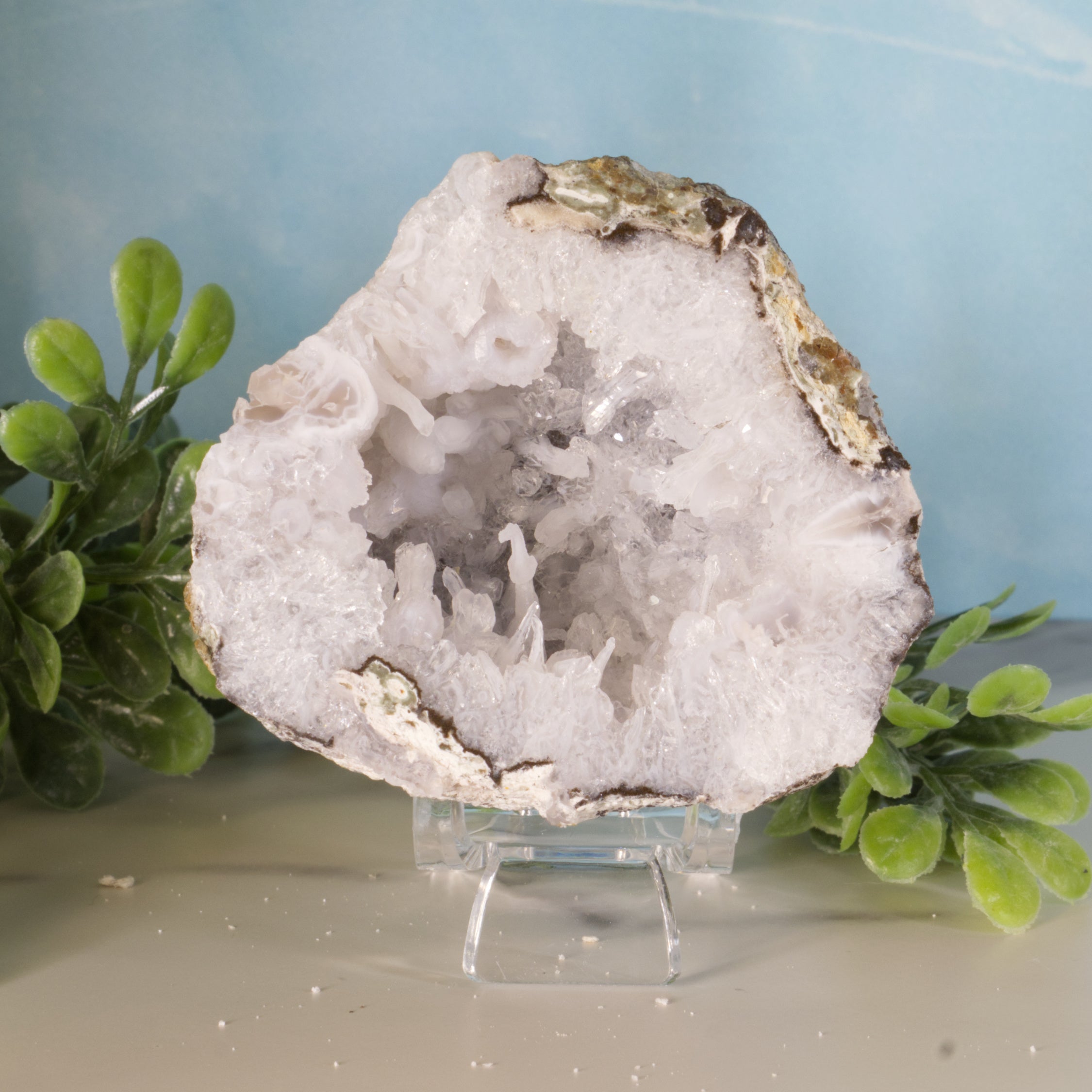 Geode crystal on a stand with green foliage against a light blue background