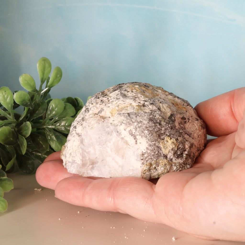 Trancas Geode 37b - Scepter Quartz Formations