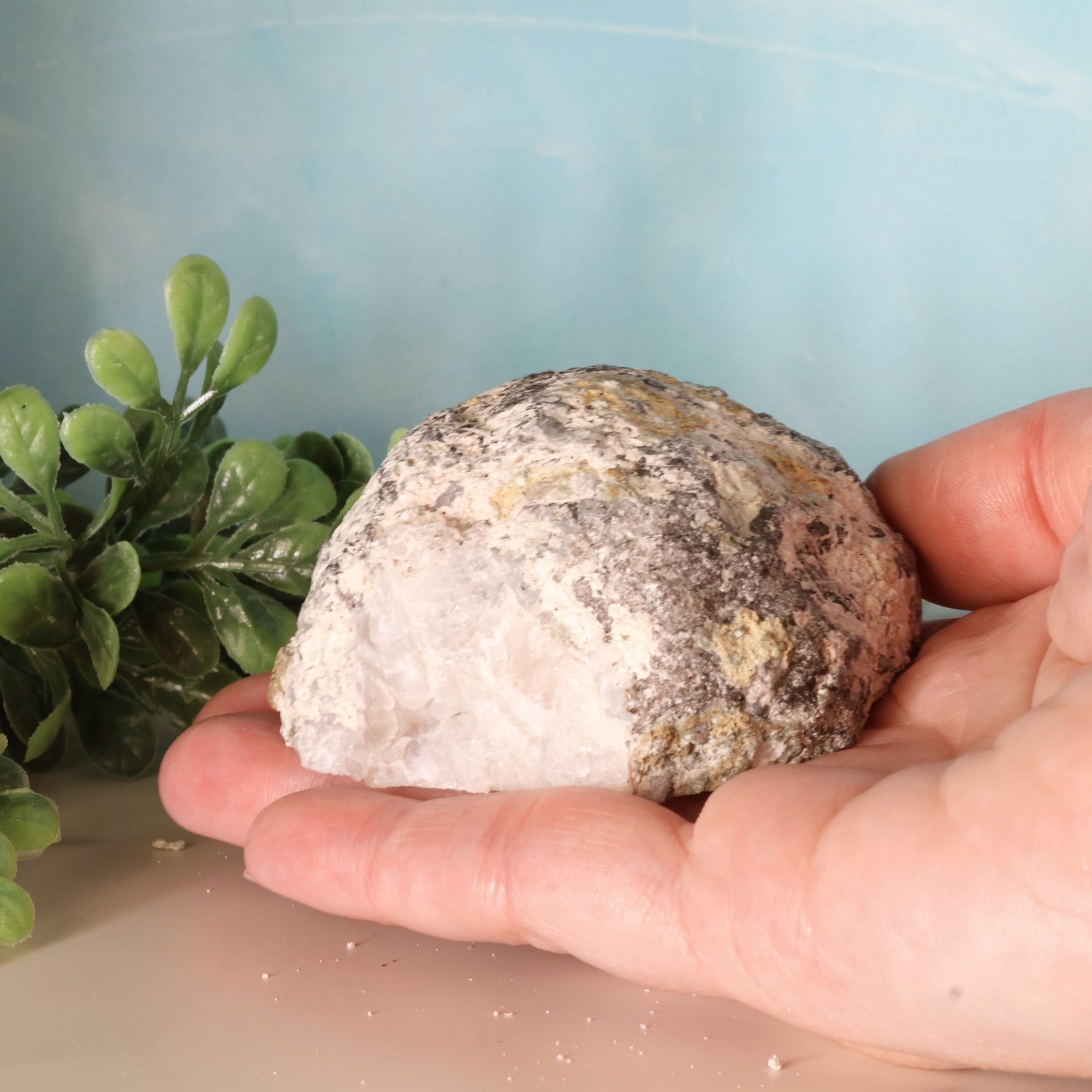 Trancas Geode 37b - Scepter Quartz Formations