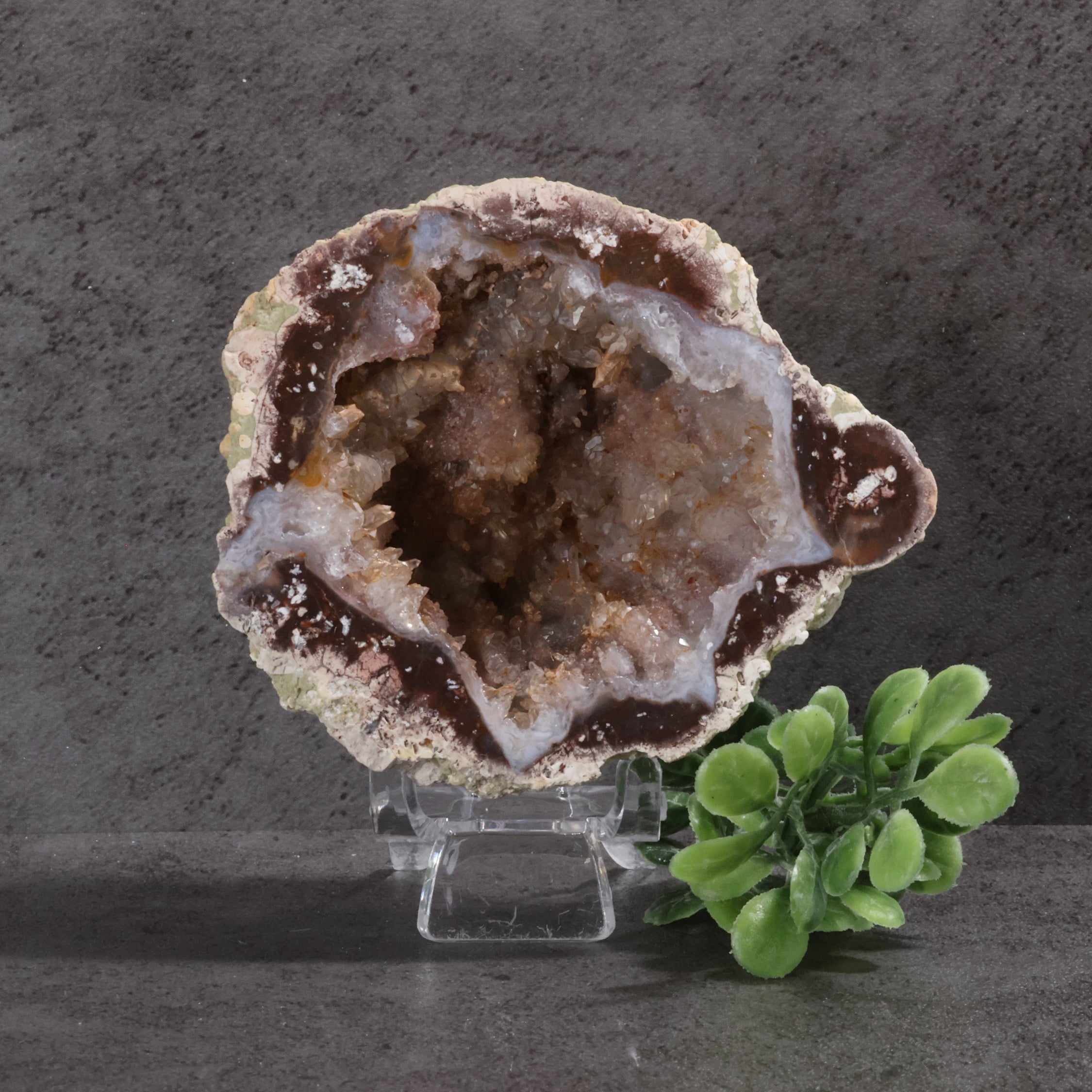 Geode crystal on a stand with a small green plant against a dark background