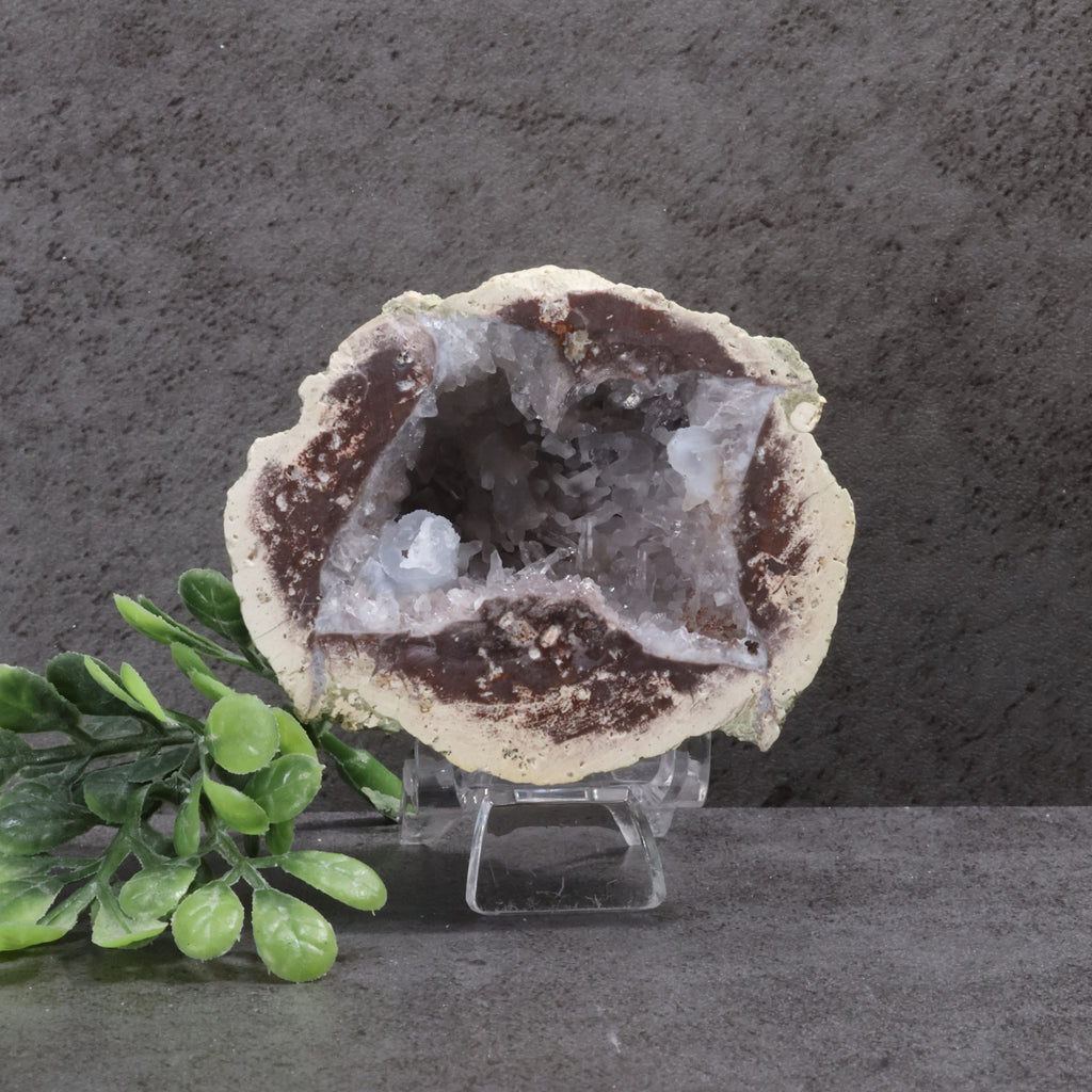 Geode crystal on a stand with green leaves against a gray background