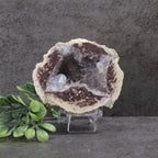 Geode crystal on a stand with green leaves against a gray background