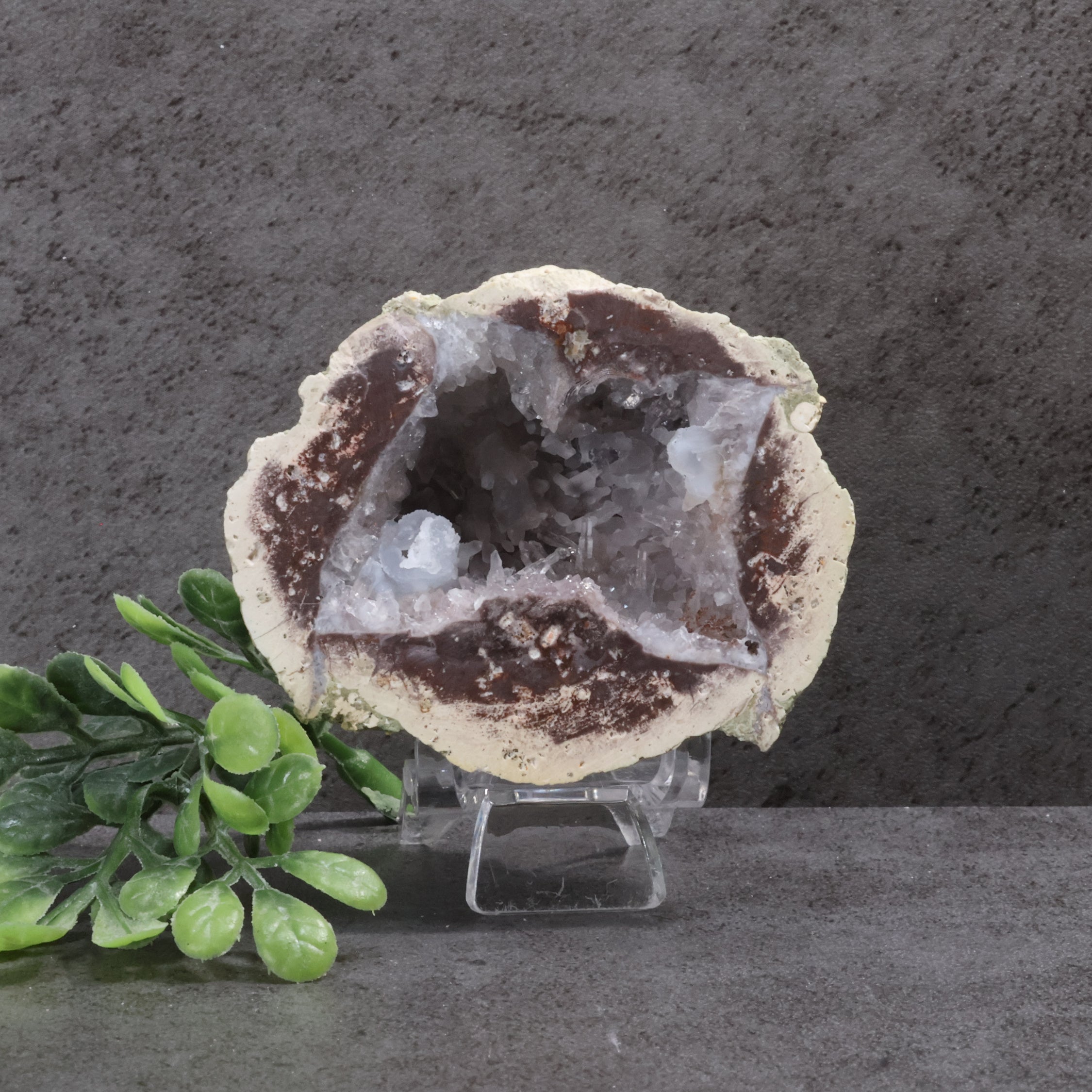 Geode crystal on a stand with green leaves against a gray background