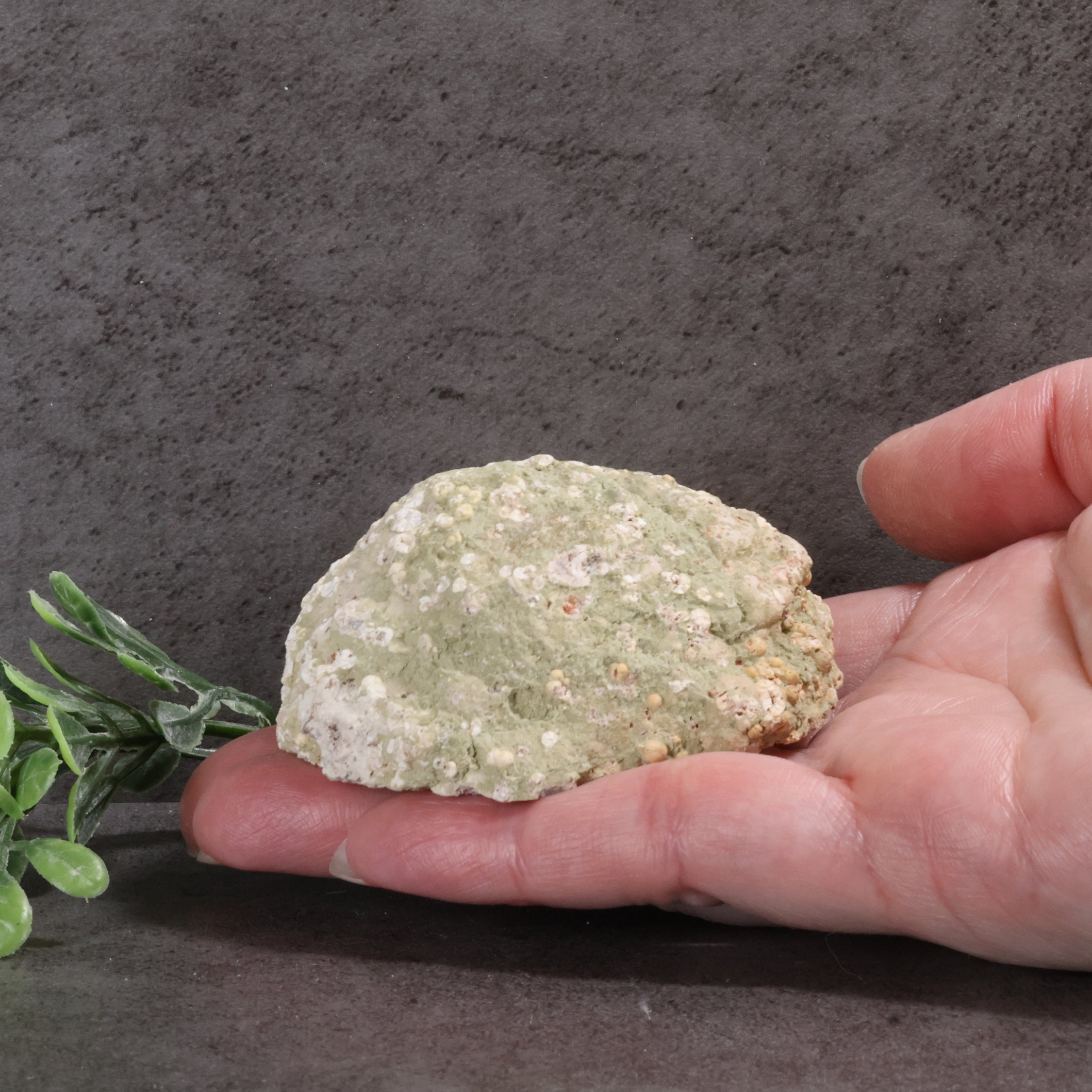 Candy Apple Geode 40a - Chalcedony & Quartz Crystals