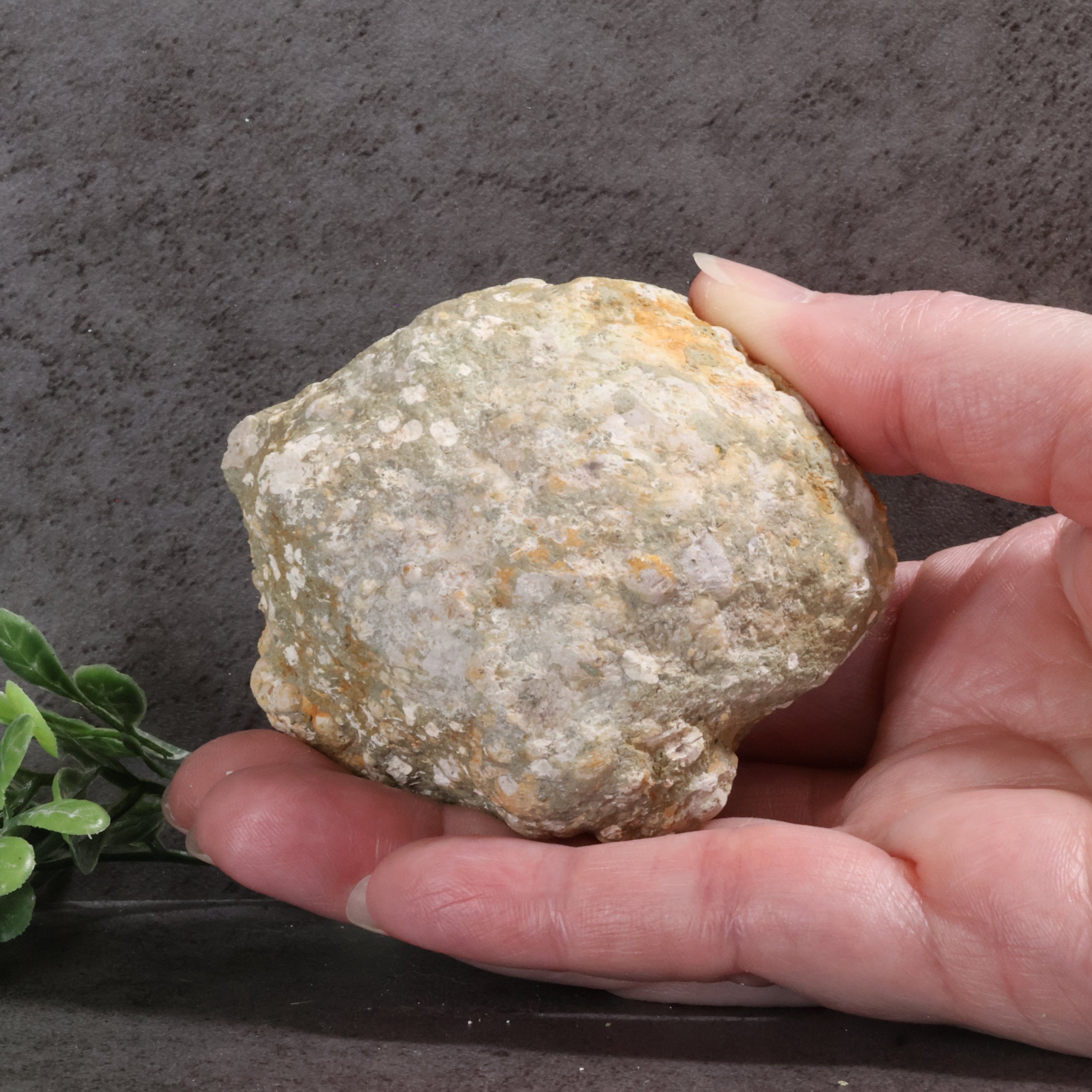 Hand holding a textured stone against a dark background