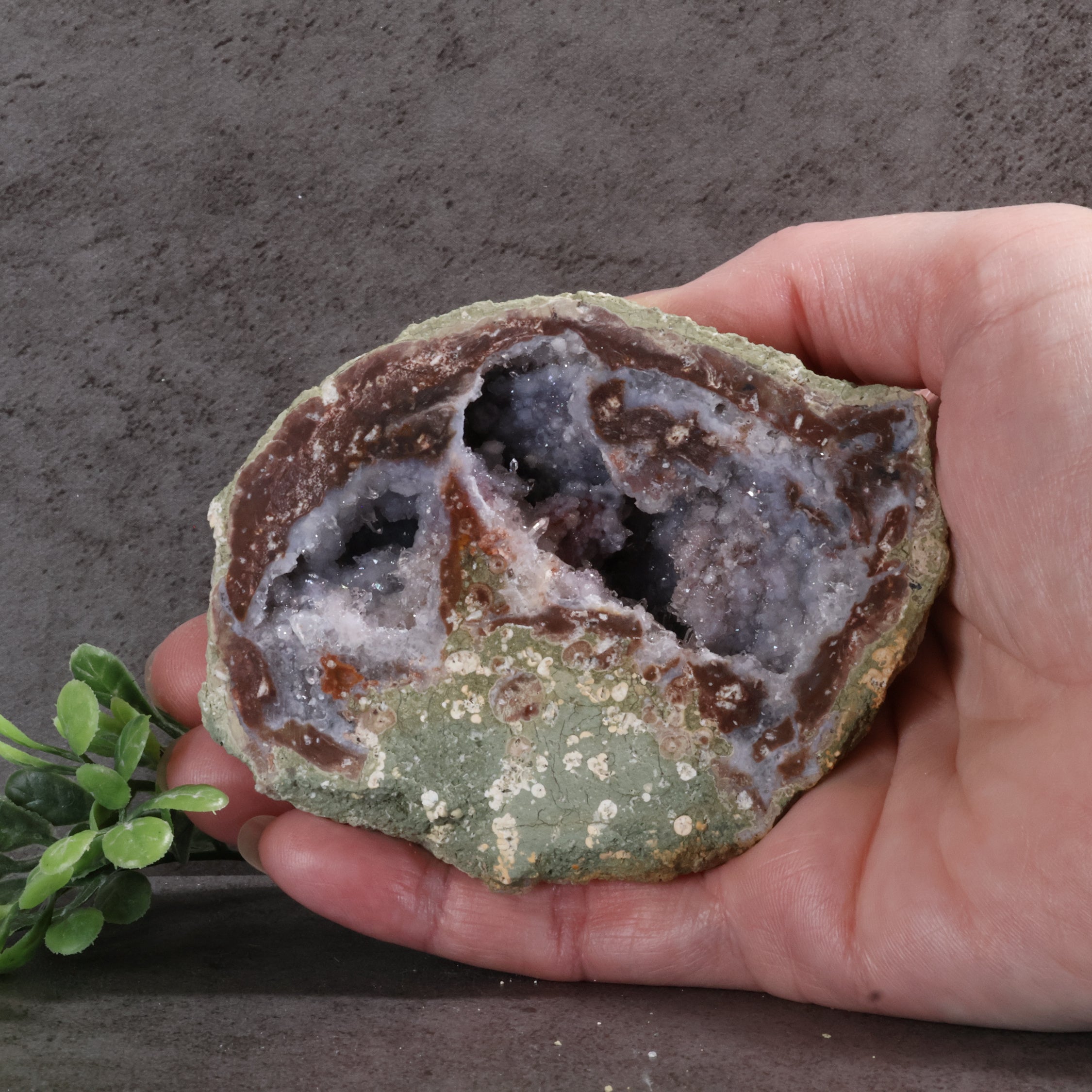 Hand holding a geode with a gray and brown interior against a dark background