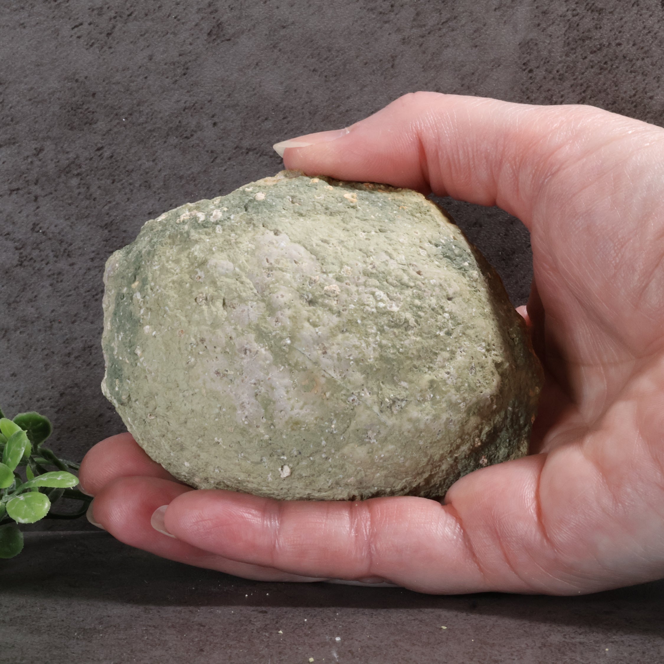 Hand holding a large greenish-brown rock against a dark background