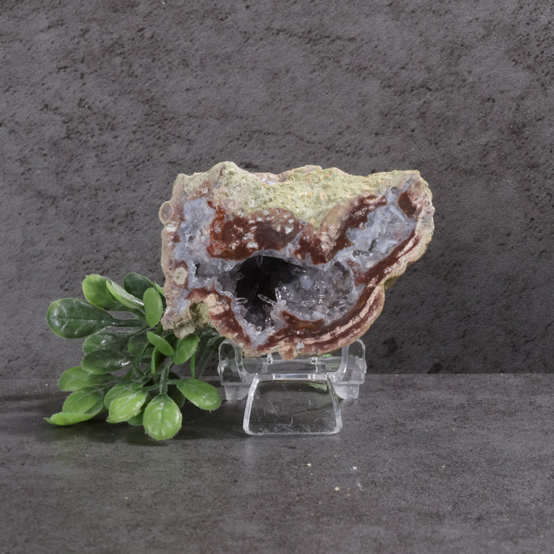 Geode on a stand with green leaves against a gray background