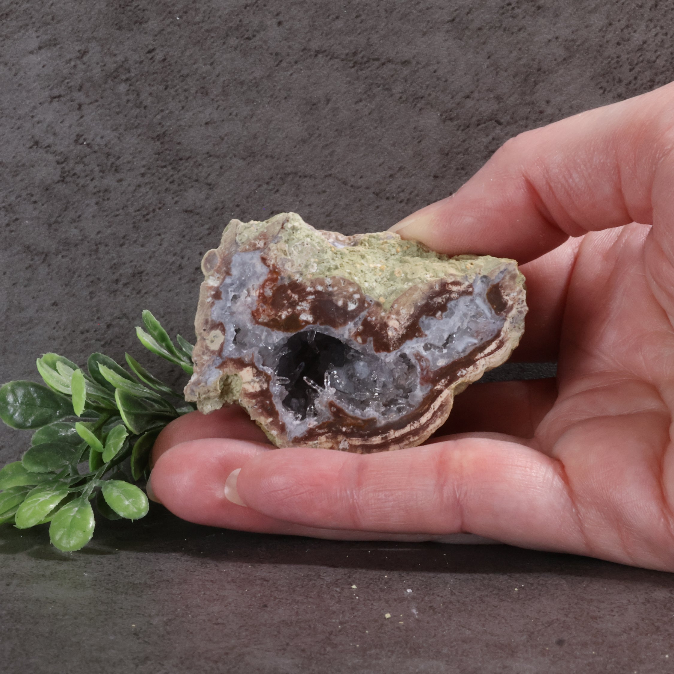 Hand holding a geode crystal with a gray background