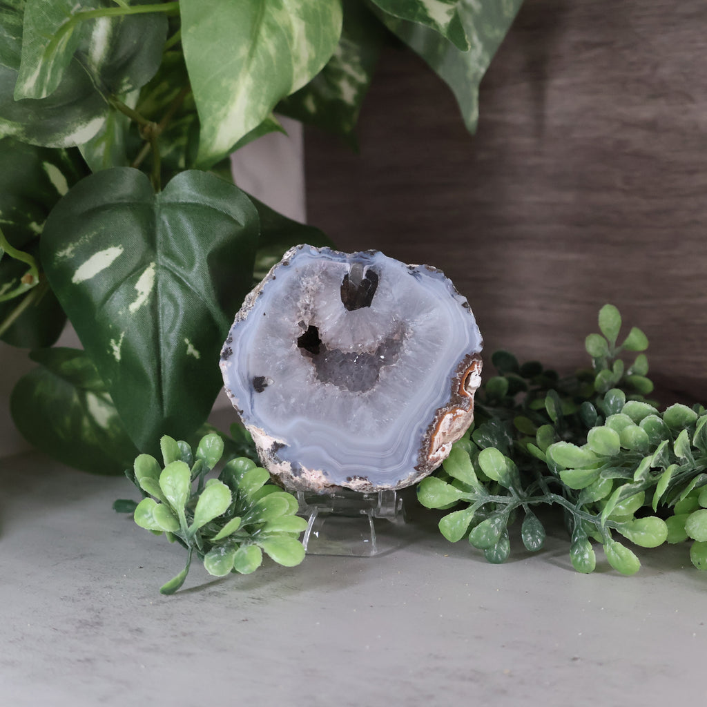 Geode slice on a stand with green leaves in the background
