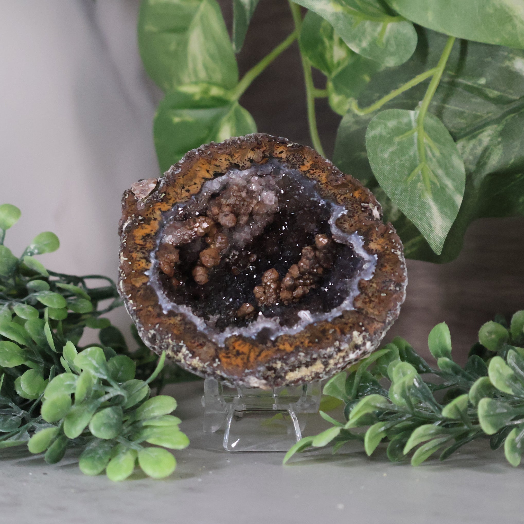 Geode crystal on a stand with green leaves in the background