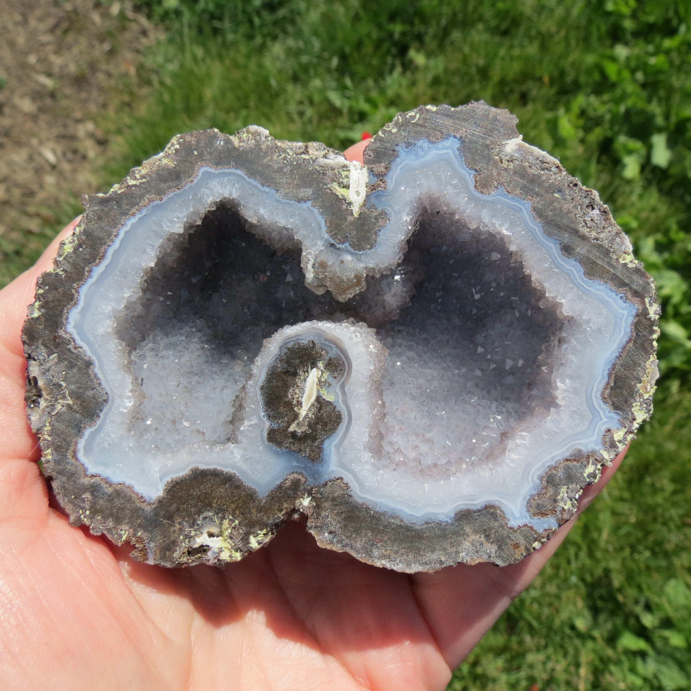 Geode held in a hand with a natural outdoor background