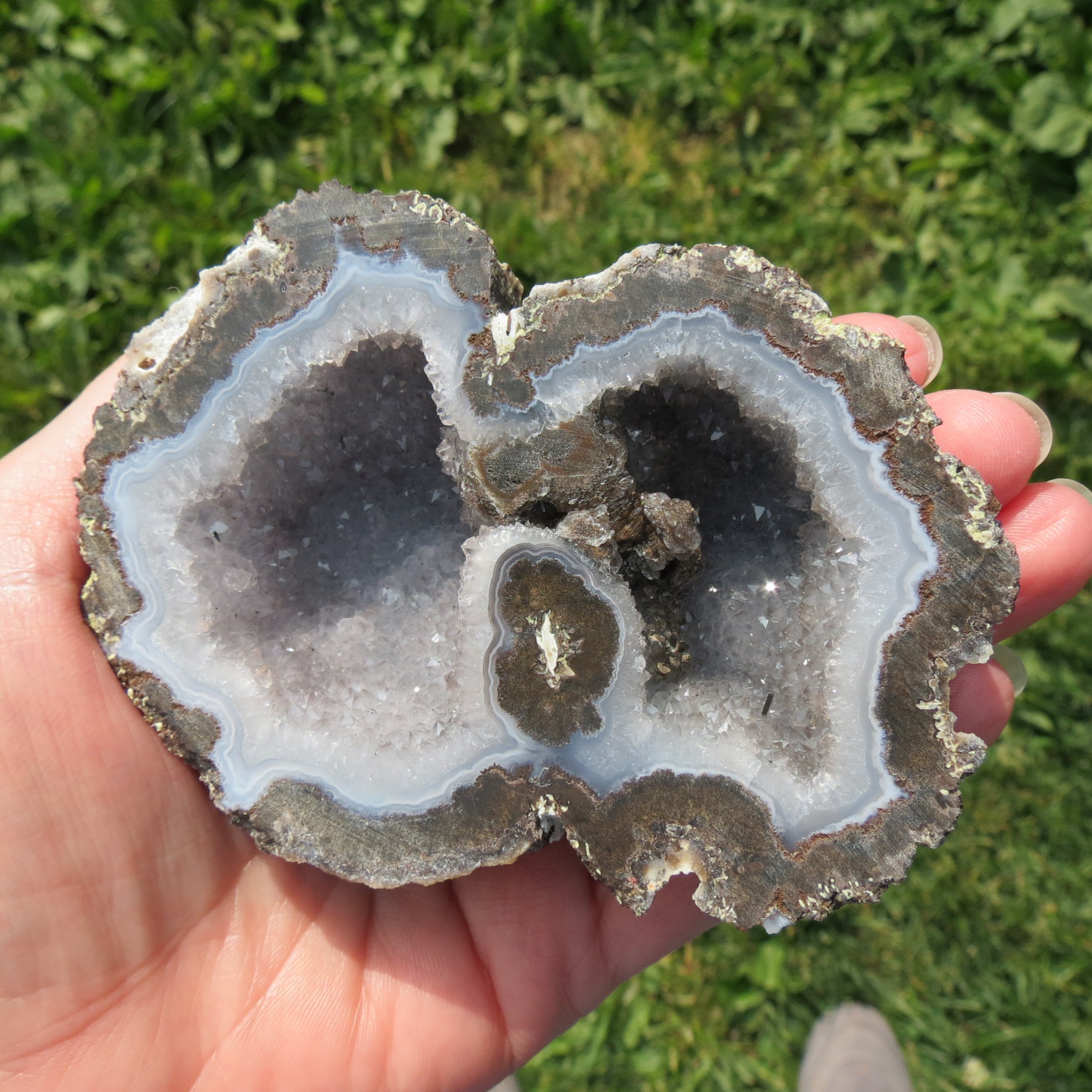 Geode held in a hand with a grassy background