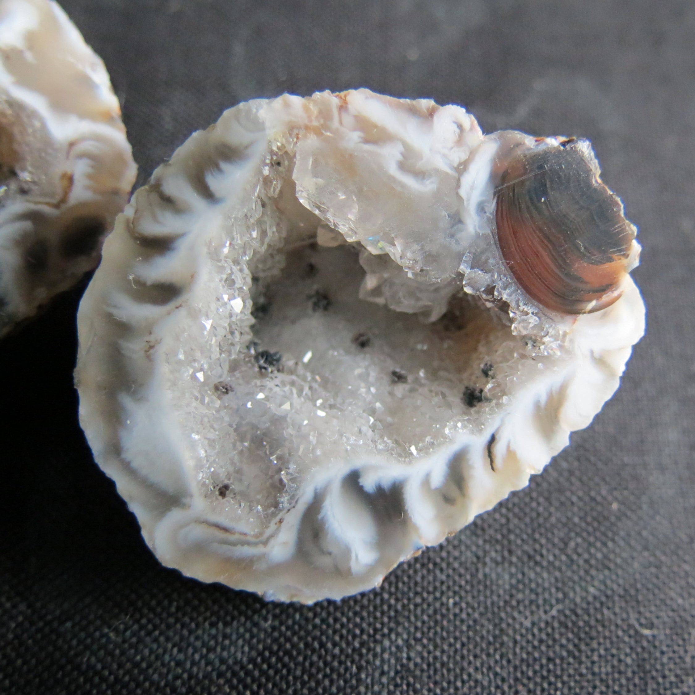 Oco Geodes Set - Oco12ab - Zebra Stripe Agate, Shadow Banding, Goethite