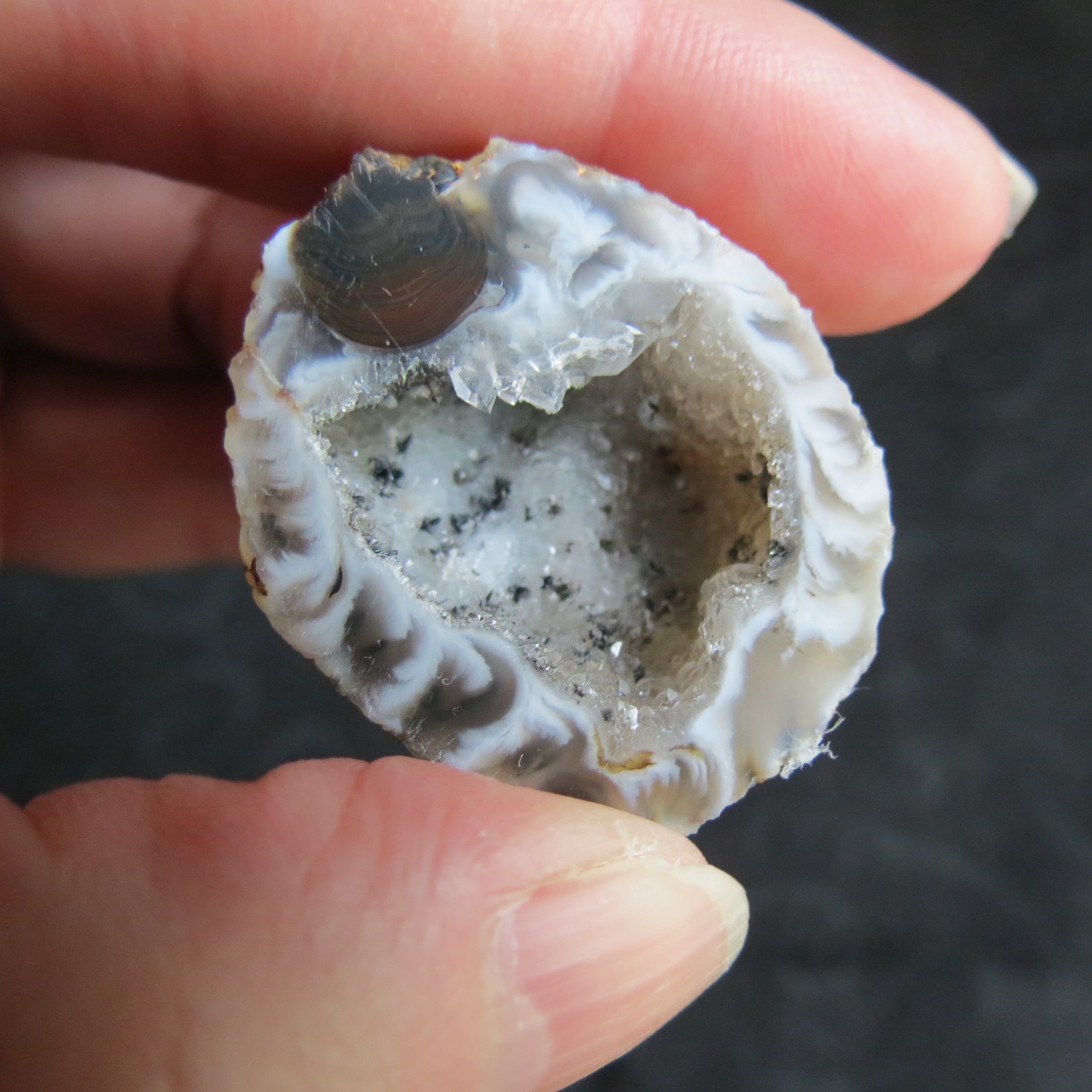 Oco Geodes Set - Oco12ab - Zebra Stripe Agate, Shadow Banding, Goethite