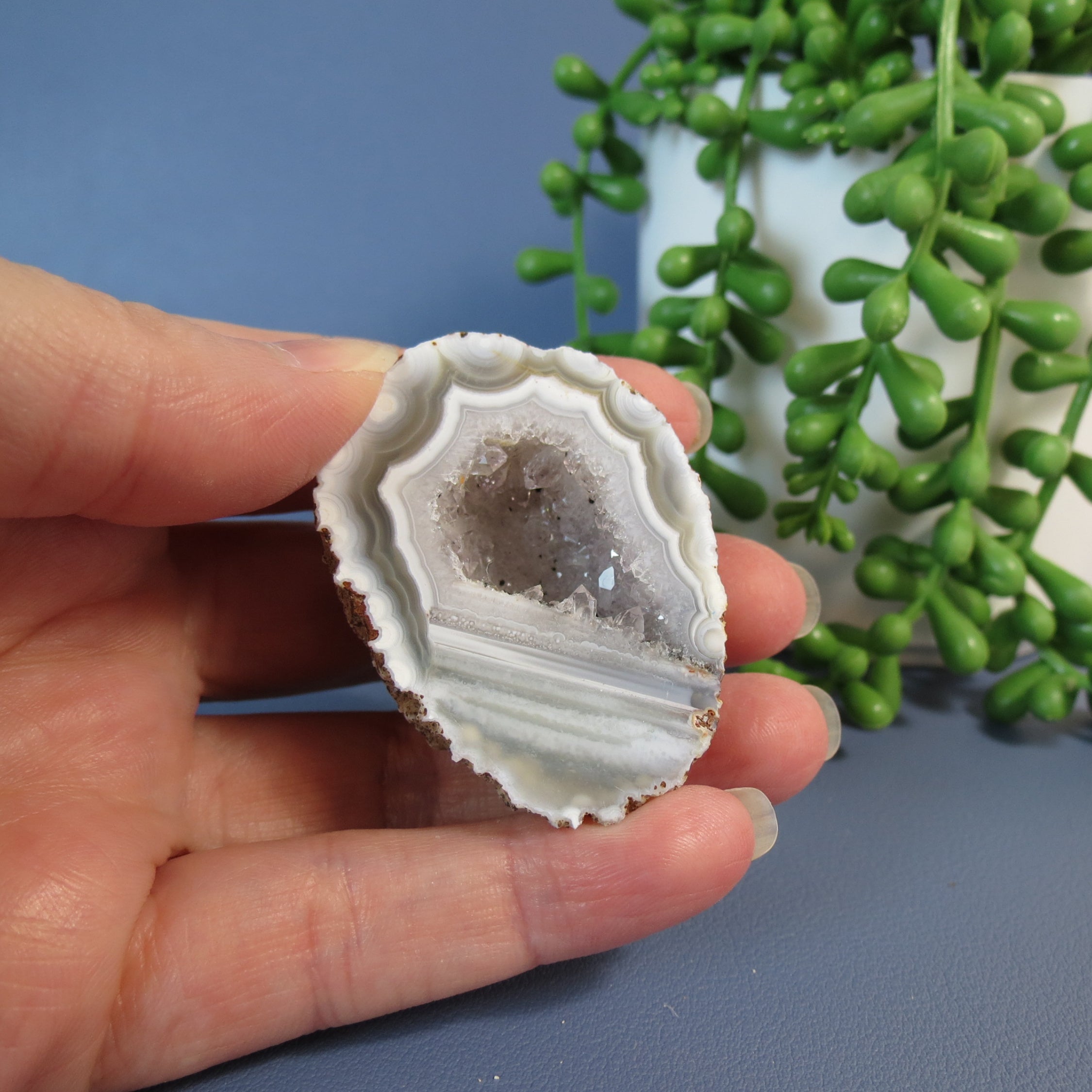 Oco Geode - Agate - Shadow Banding - Orbs - Waterline - Oco25a