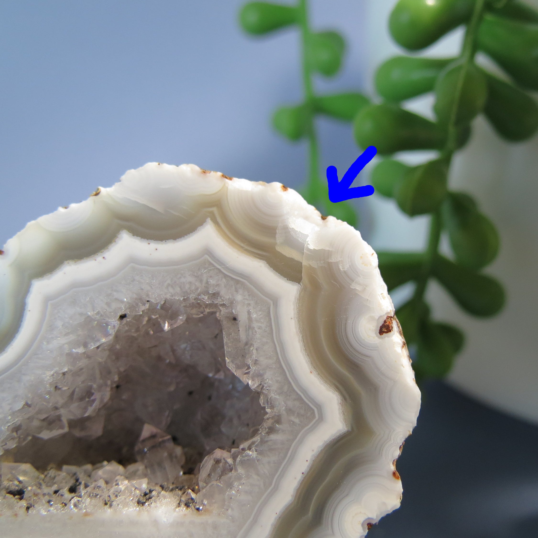 Oco Geode - Agate - Shadow Banding - Orbs - Waterline - Oco25b