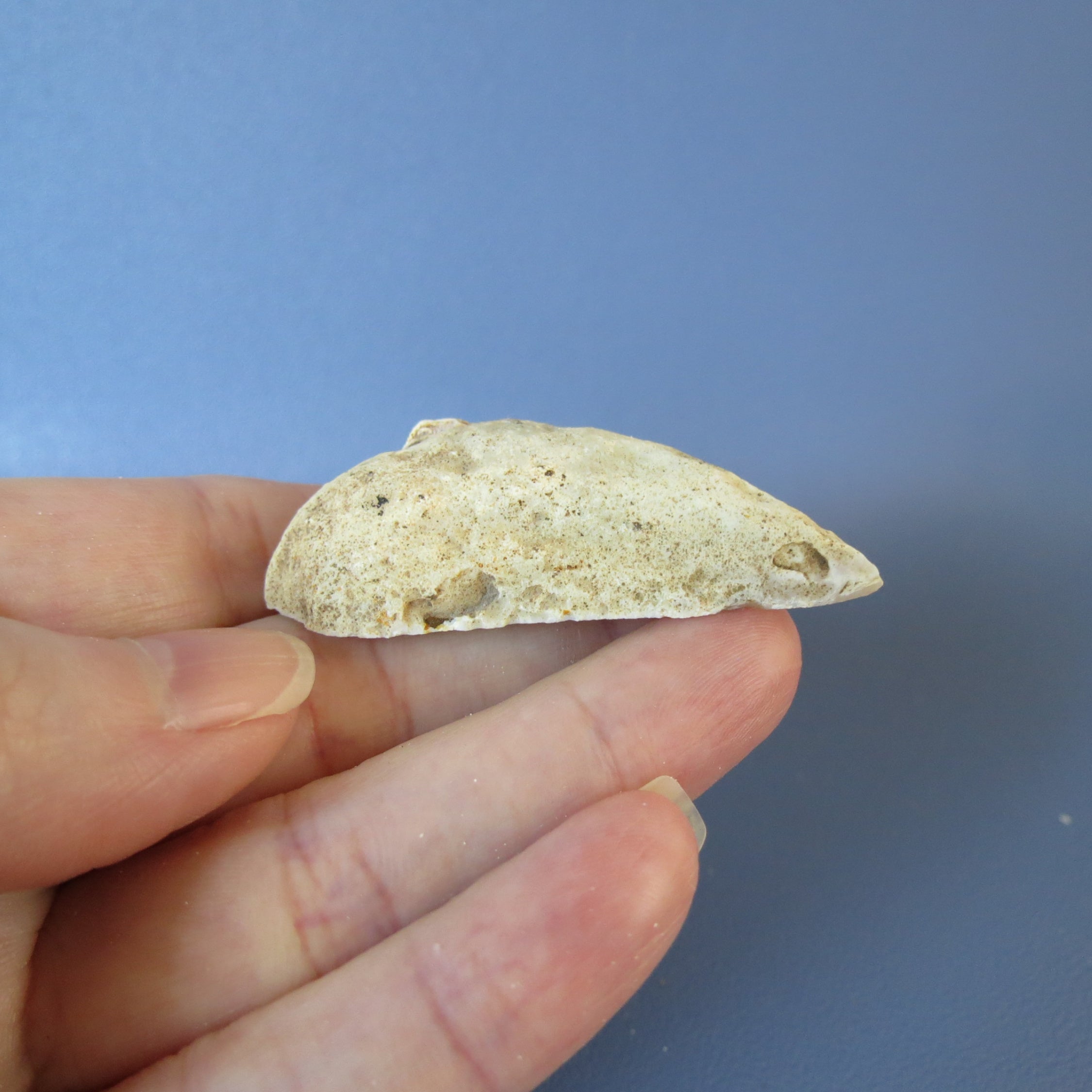 Oco Geode - Yellow Agate - Waterline - Oco30a