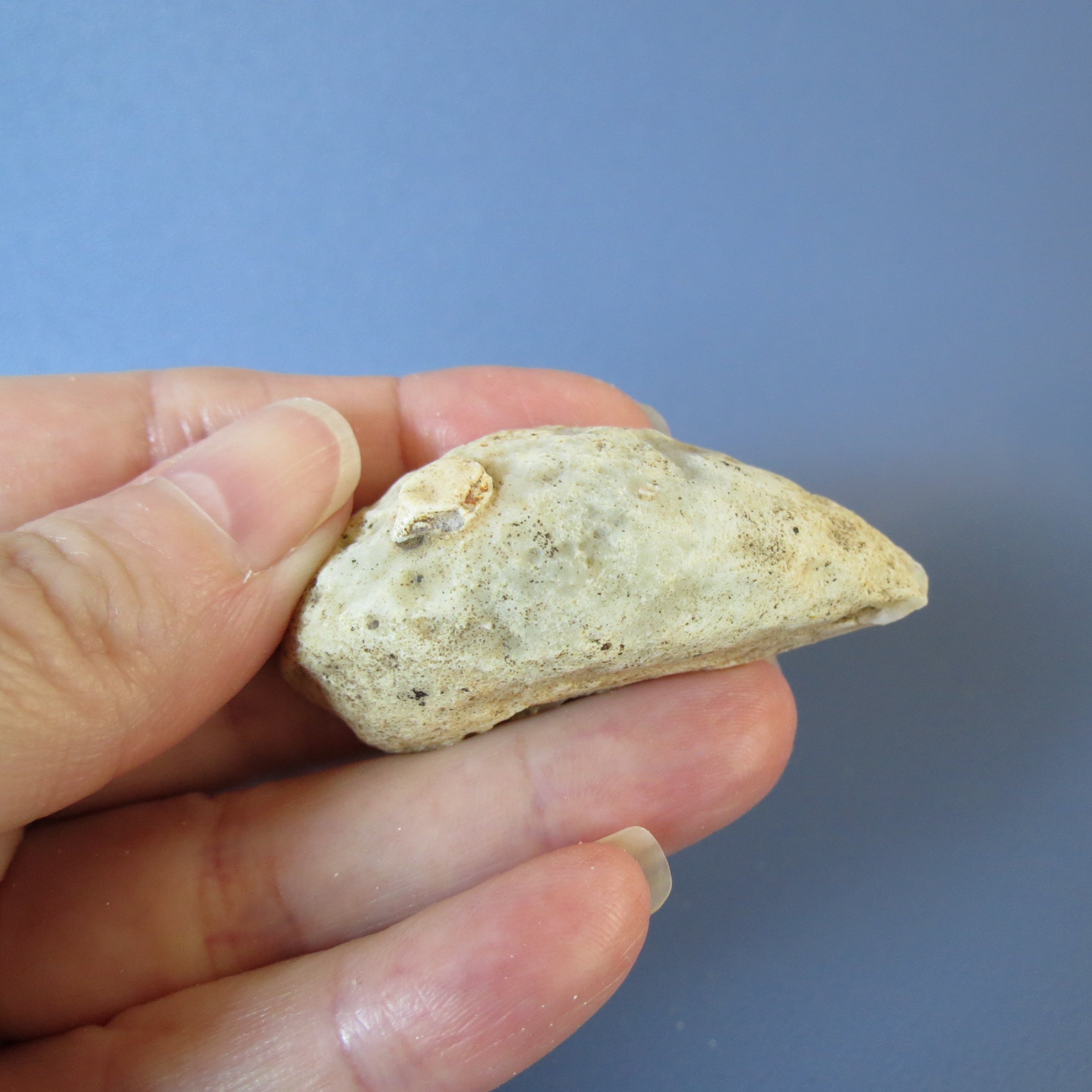 Oco Geode - Yellow Agate - Waterline - Oco30a