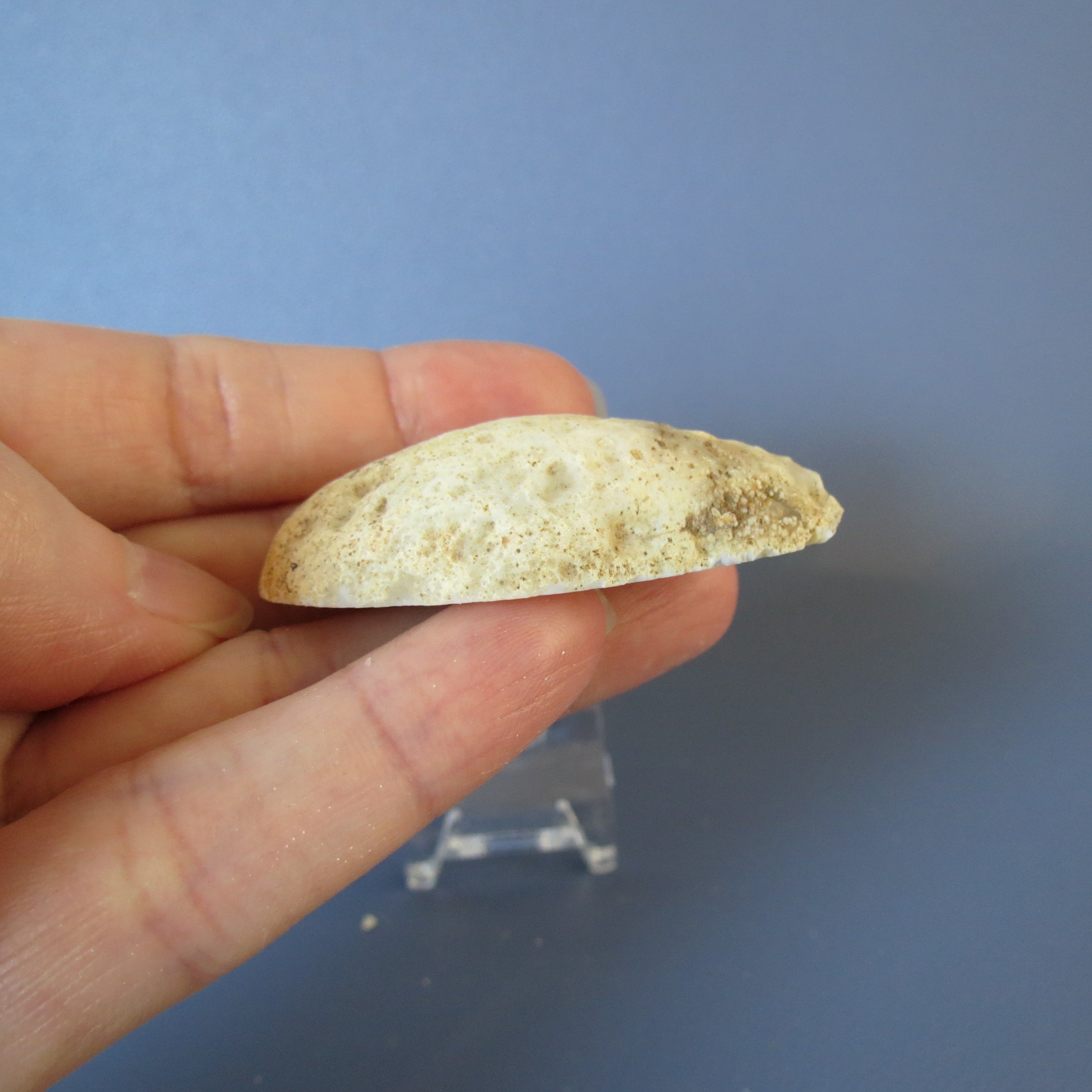 Oco Geode - Yellow Agate - Waterline - Oco30b
