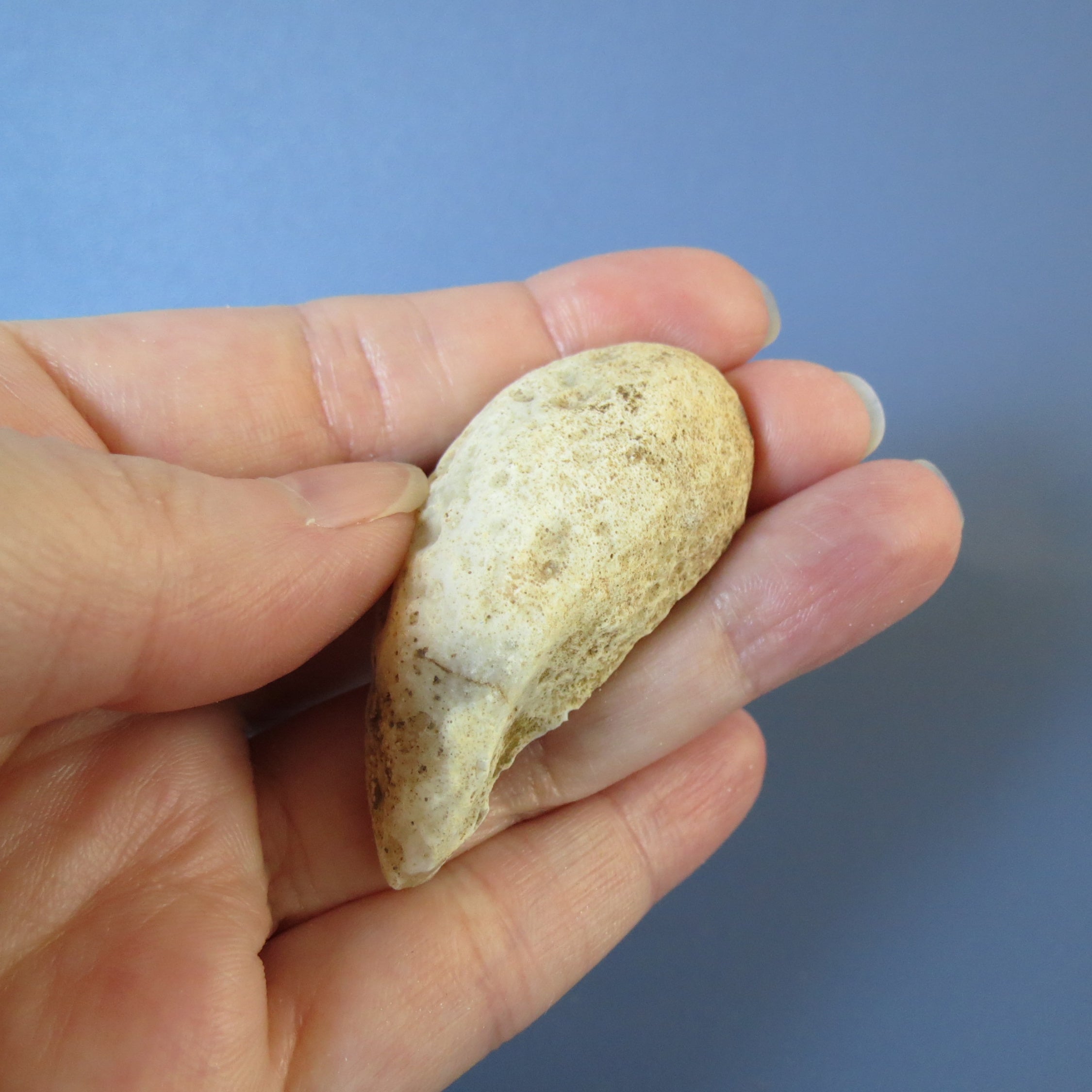 Oco Geode - Yellow Agate - Waterline - Oco30b