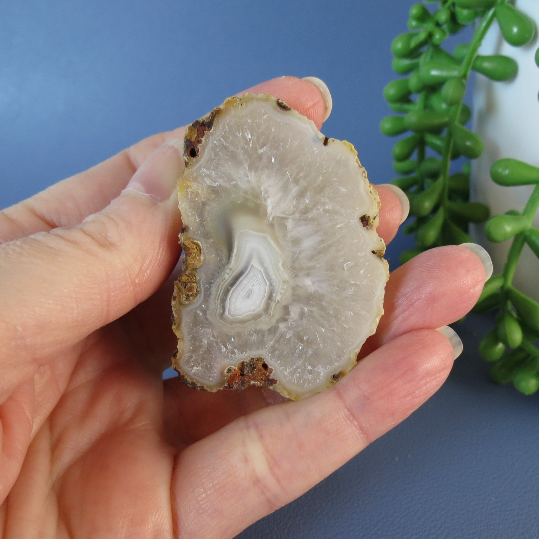 Picacho Agate - White Floater - Aga17a