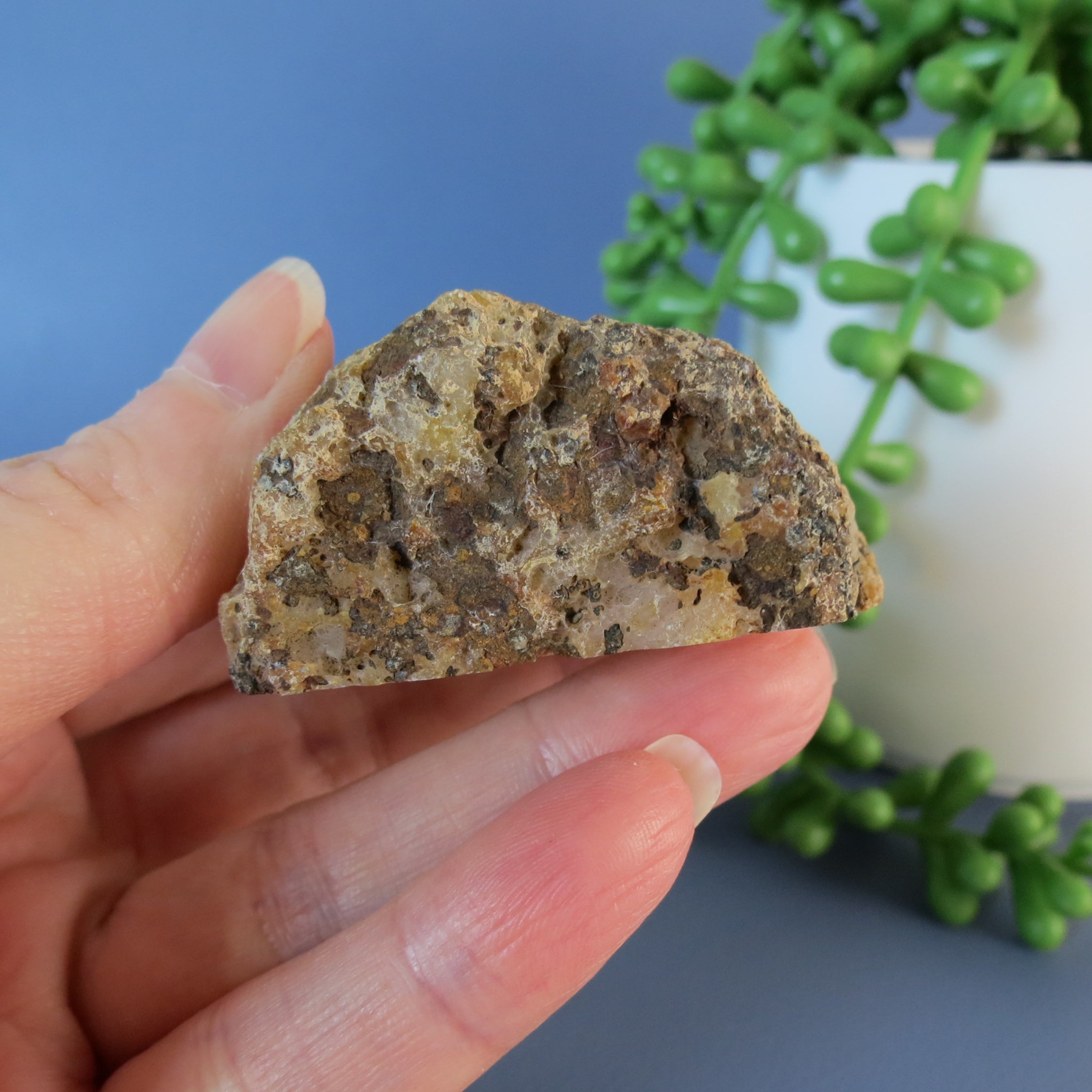 Picacho Agate - White Floater - Aga17a