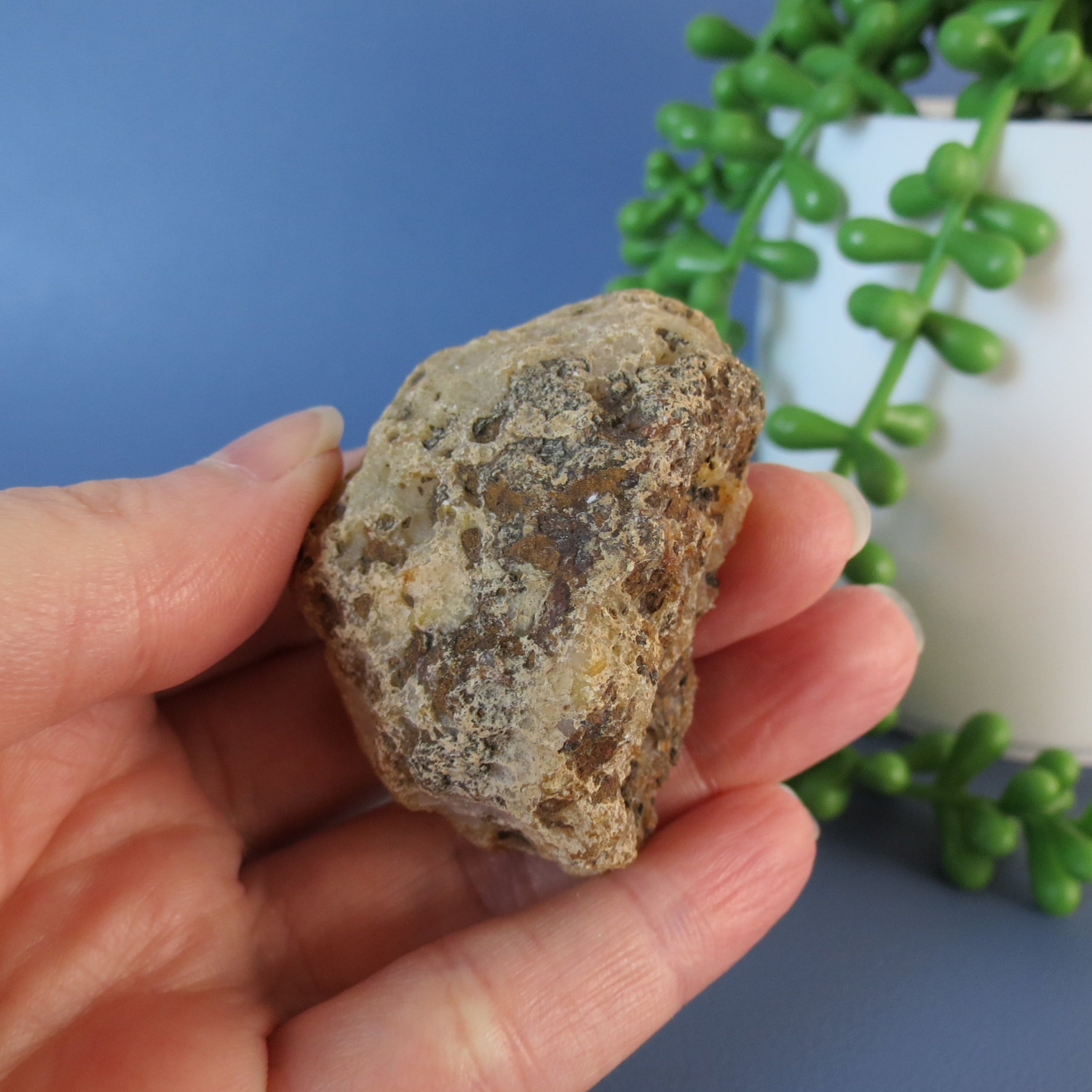 Picacho Agate - White Floater - Aga17a