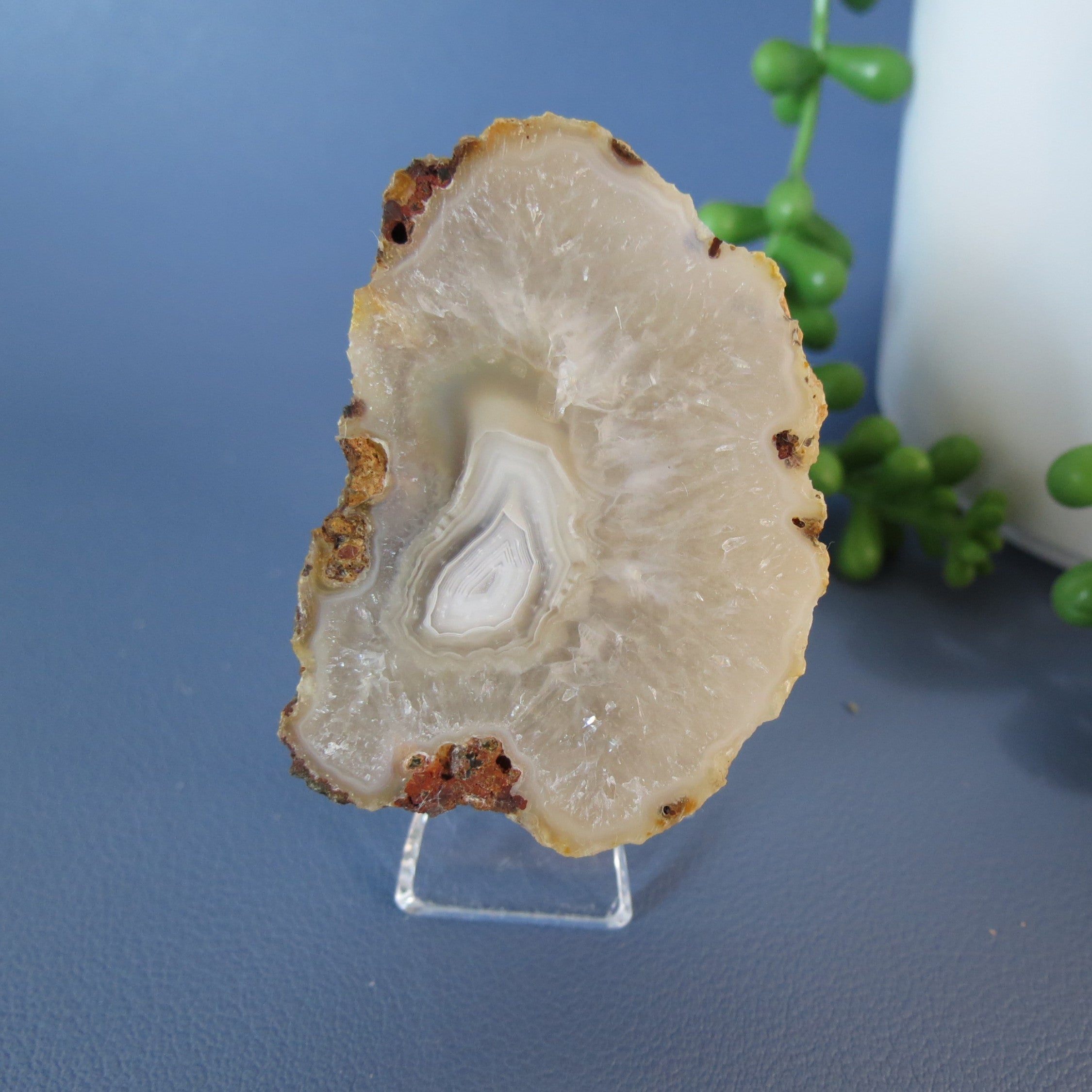 Picacho Agate - White Floater - Aga17a