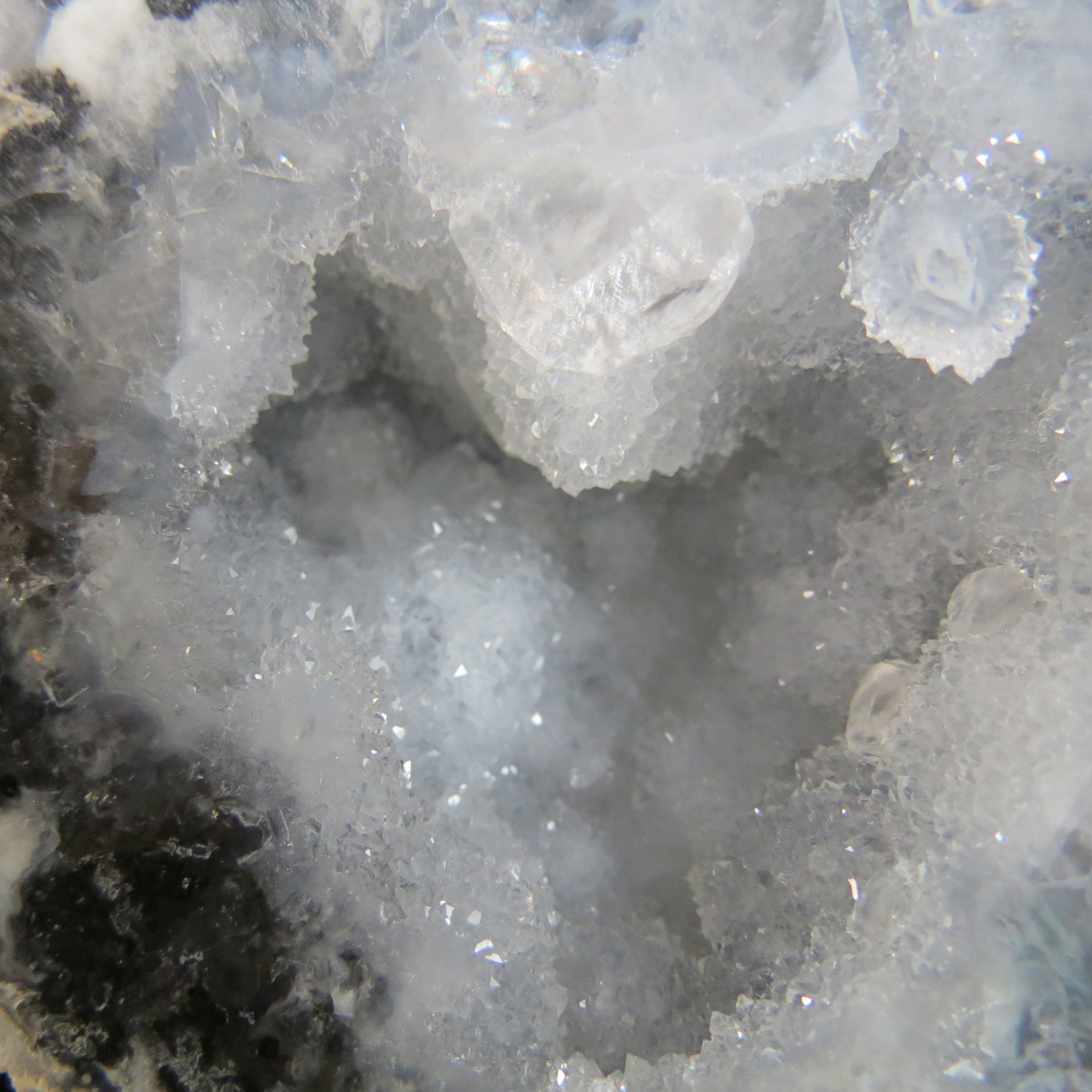 Trancas Geode - Tra10b - Druzy Quartz Botryoidal