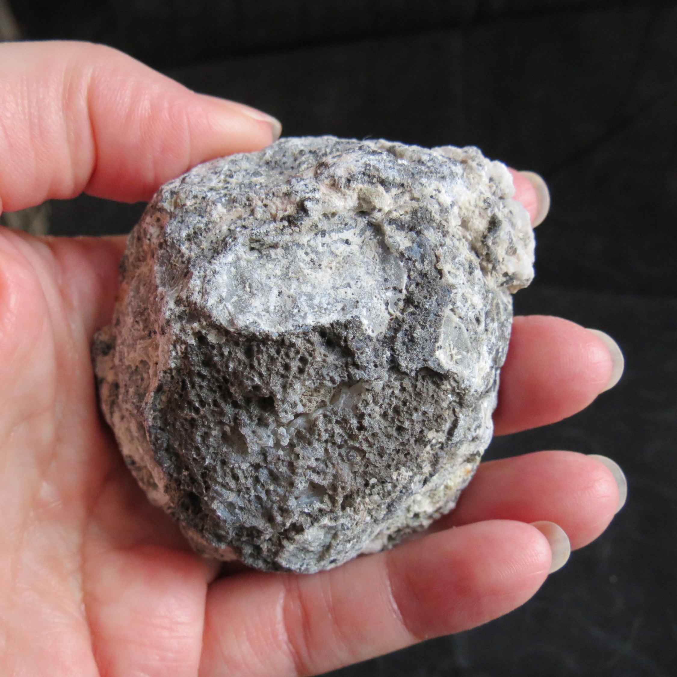 Trancas Geode - Tra10b - Druzy Quartz Botryoidal