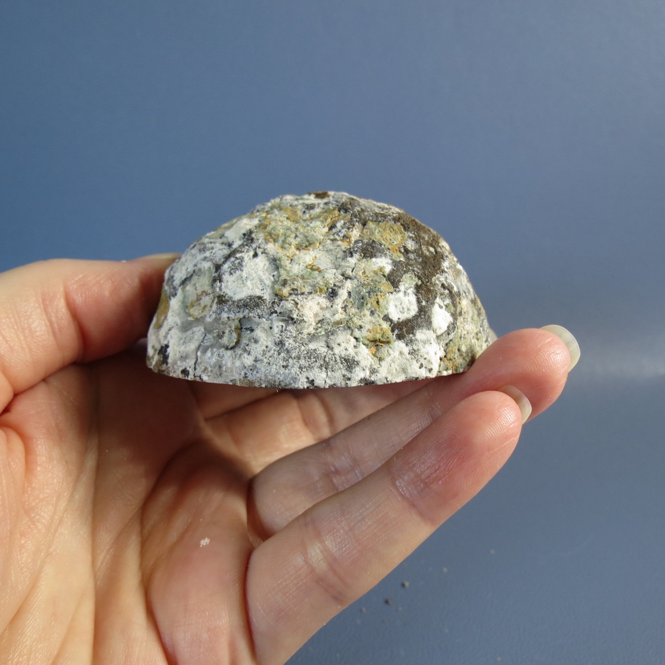 Trancas Geode - Quartz Scepter - Tra26b