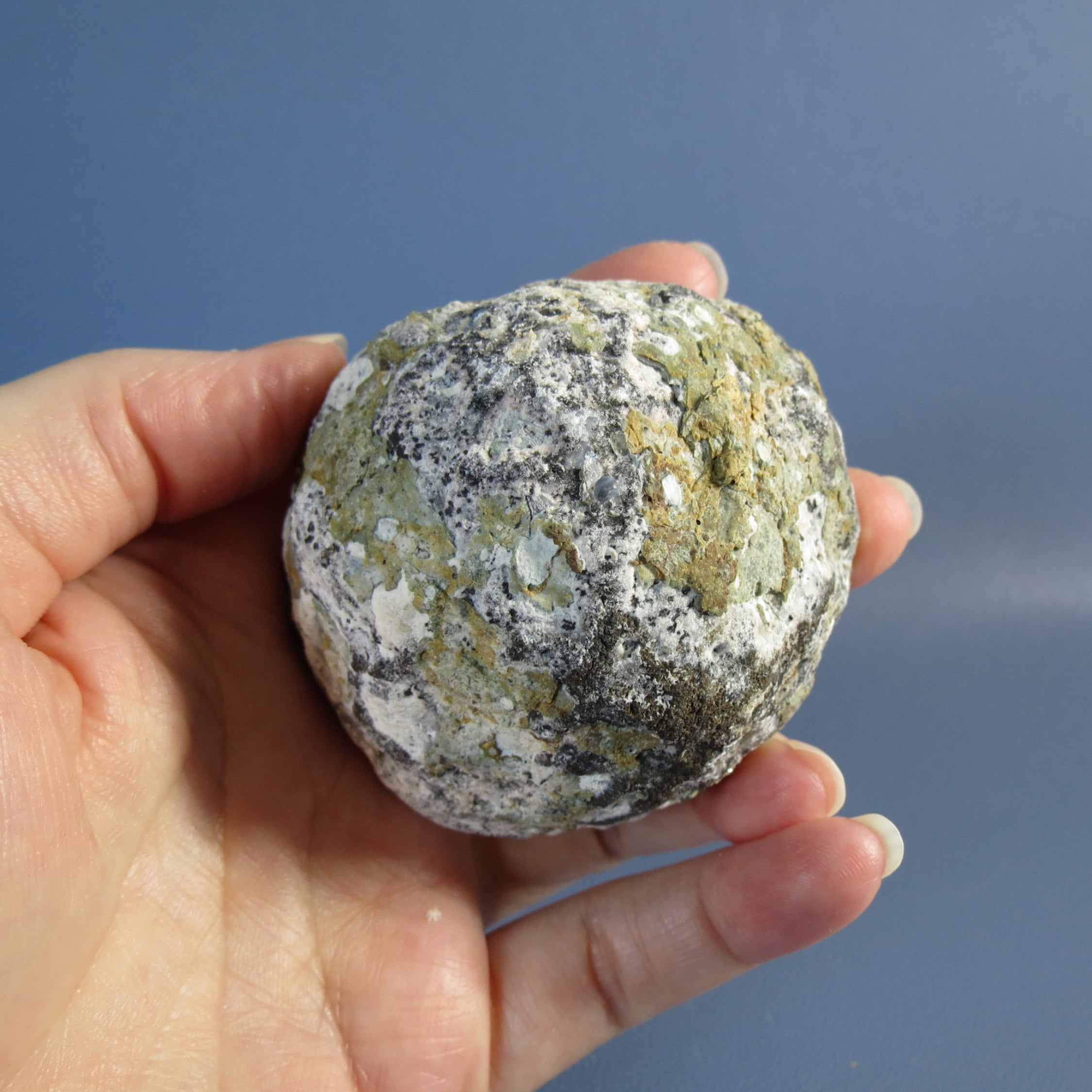 Trancas Geode - Quartz Scepter - Tra26b
