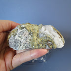 Trancas Geode - "Twin Sparkle Parfait" - Quartz (31a)