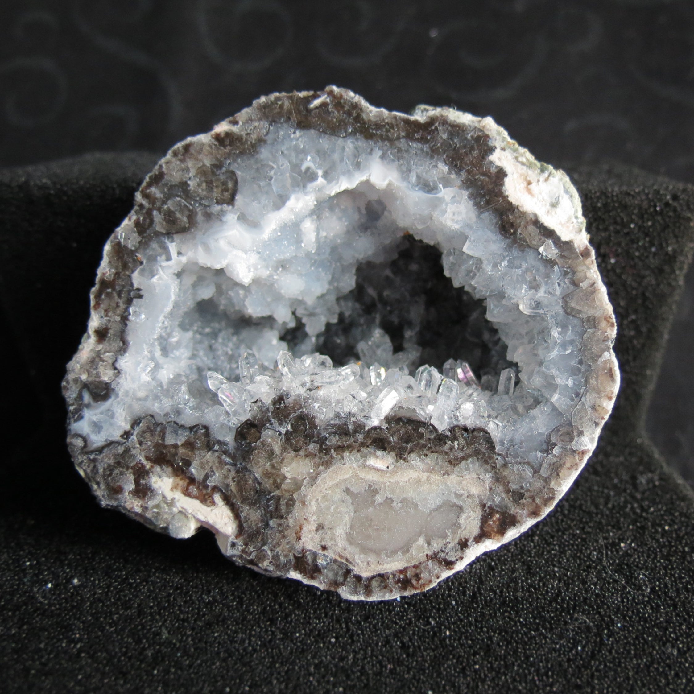Trancas Geode - Tra3a - Quartz Crystals & Druzy