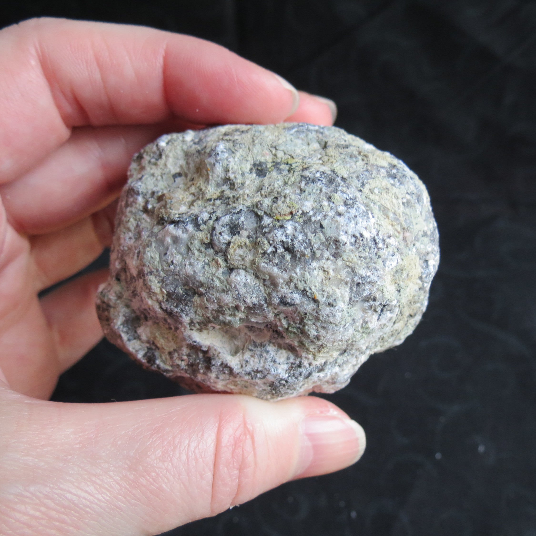 Trancas Geode - Tra3a - Quartz Crystals & Druzy