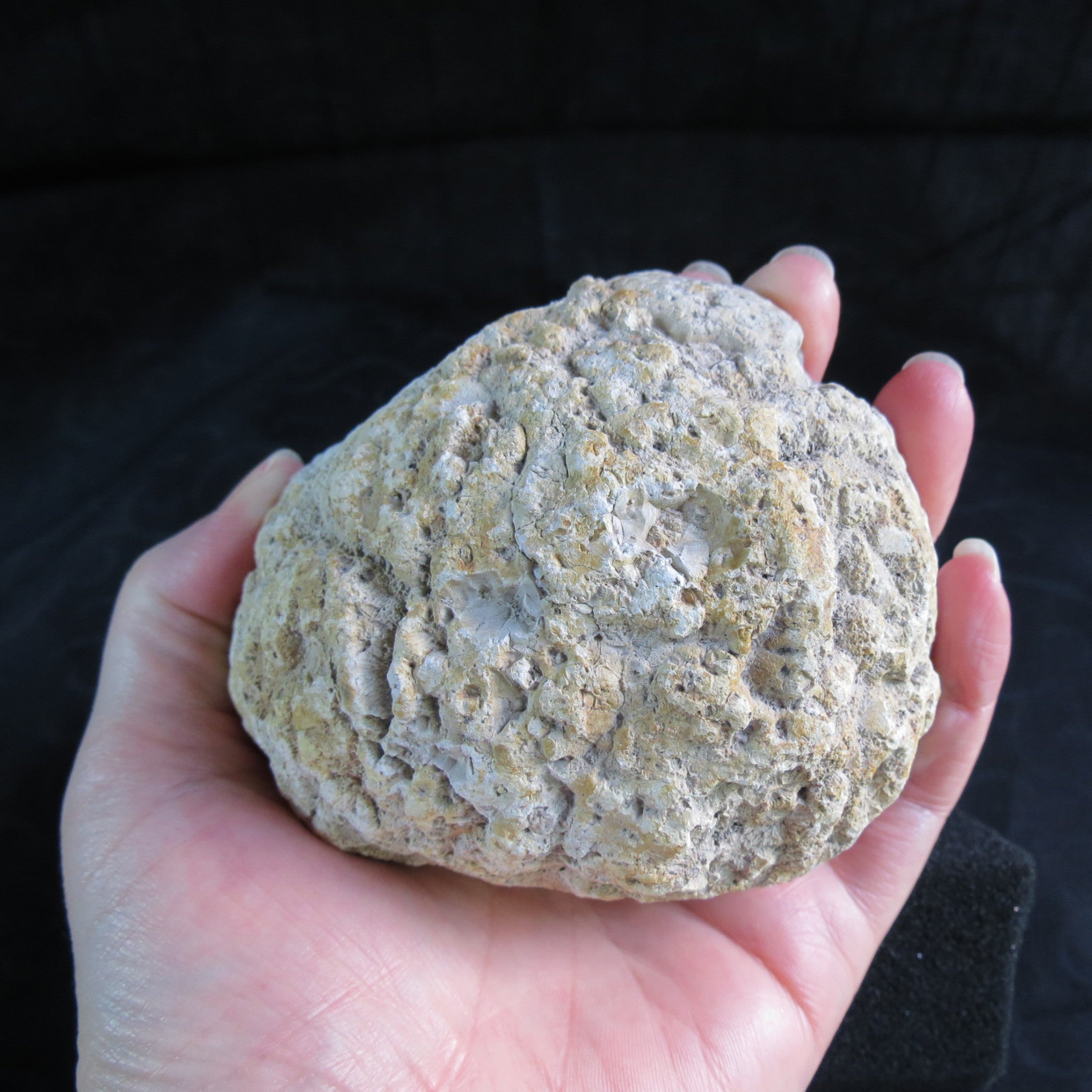Druzy Mist Geode - DM5a - Druzy Galaxy Agate
