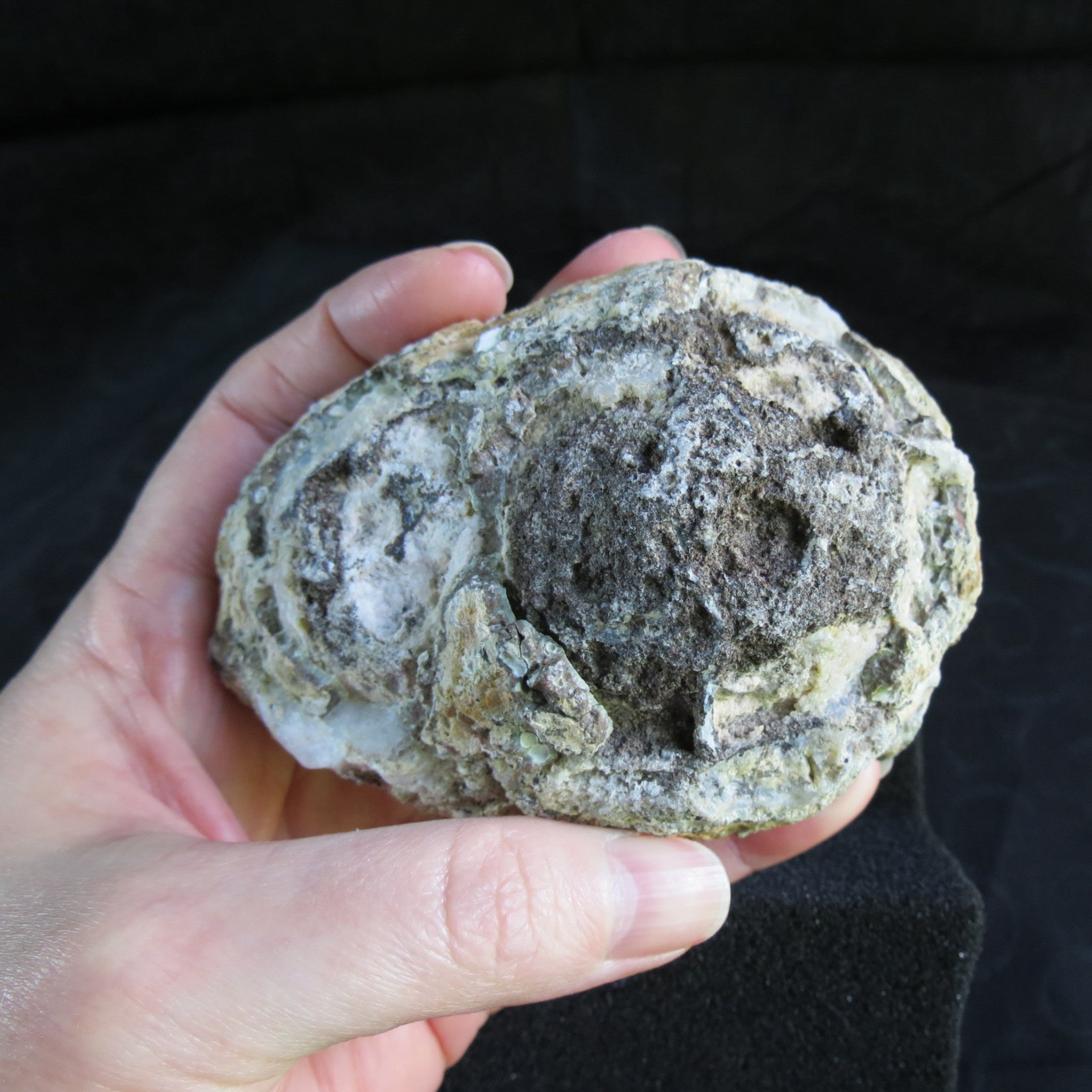 Trancas Geode - Tra6a - Sceptor Quartz