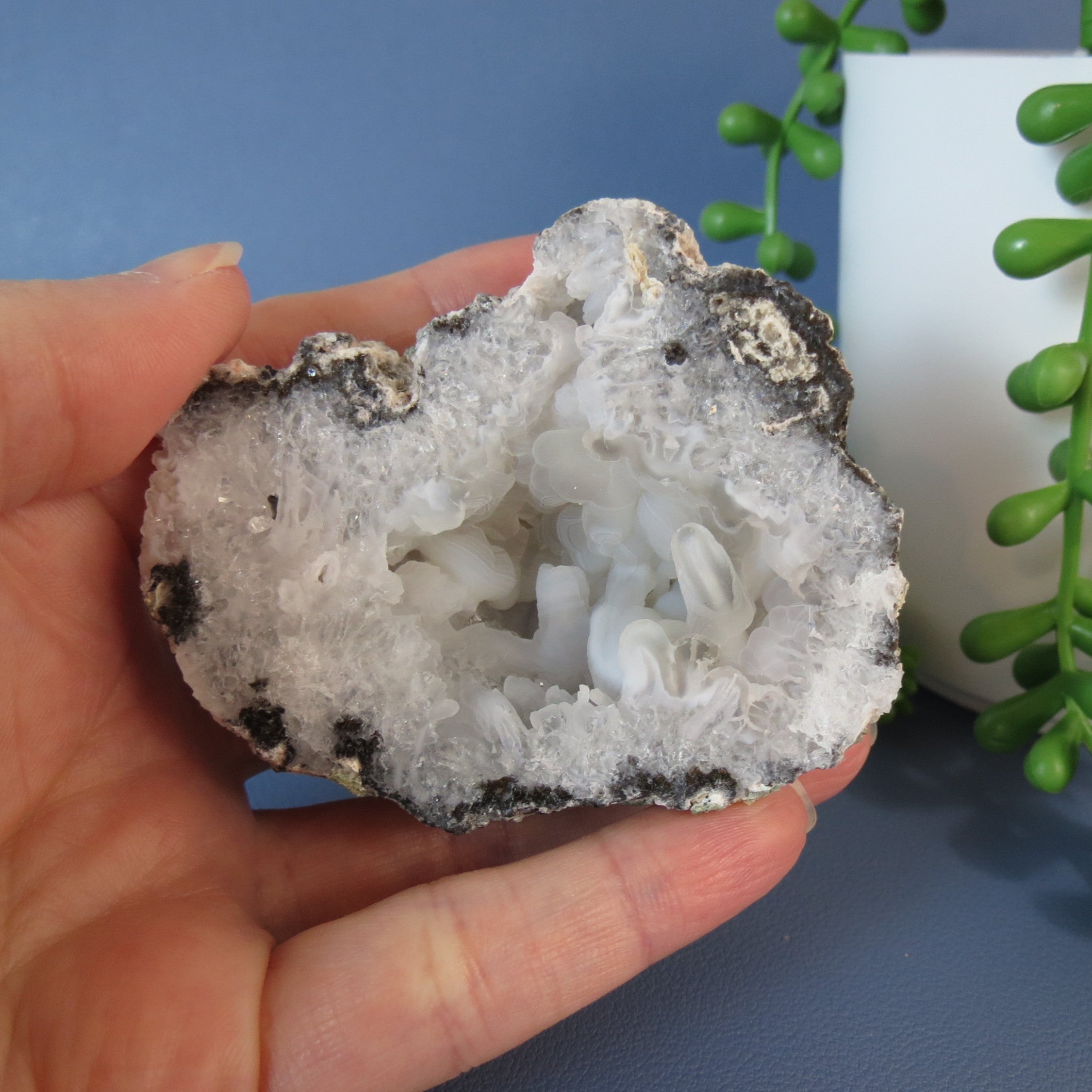 Trancas Geode - Crazy Chalcedony -Tra16a