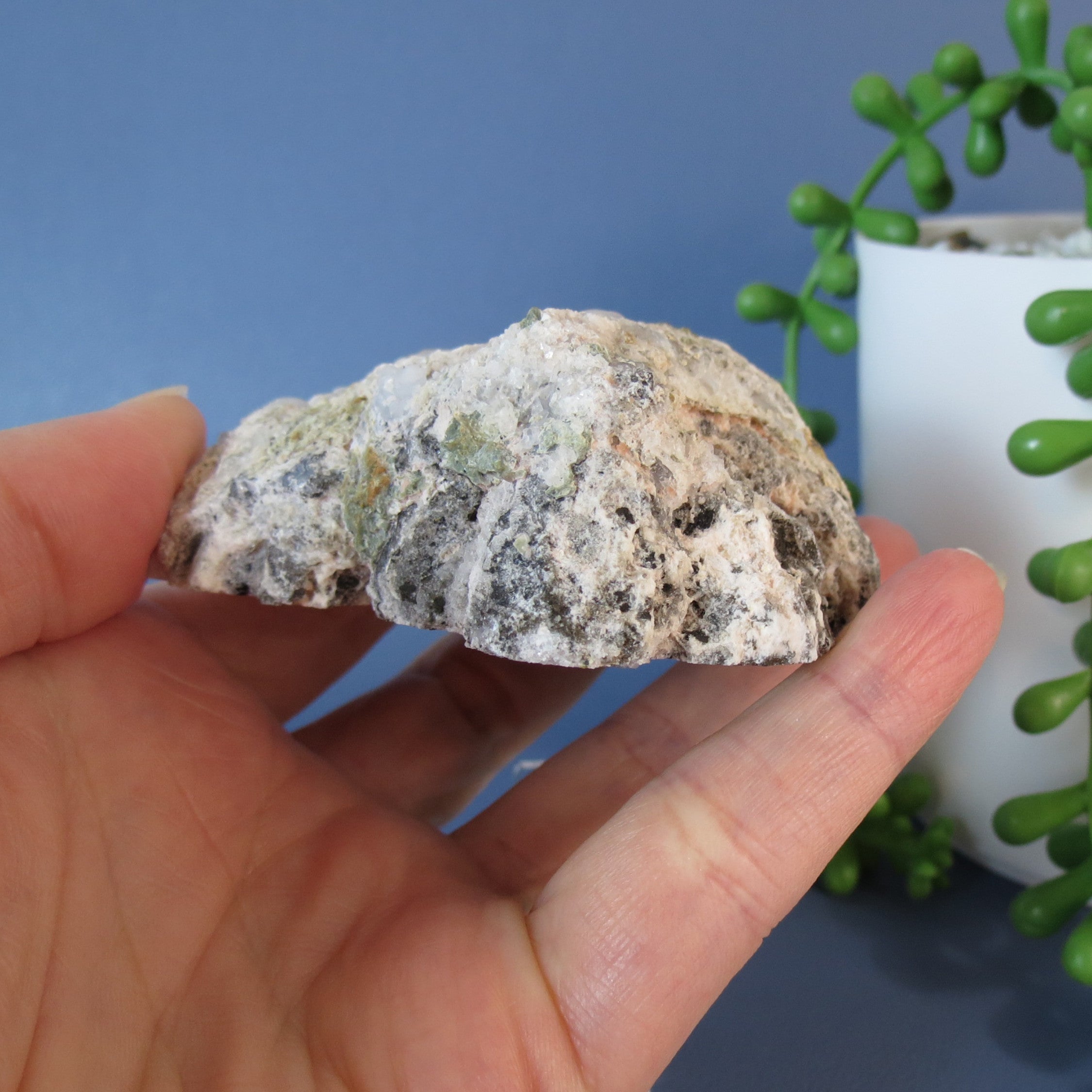 Trancas Geode - Crazy Chalcedony -Tra16a