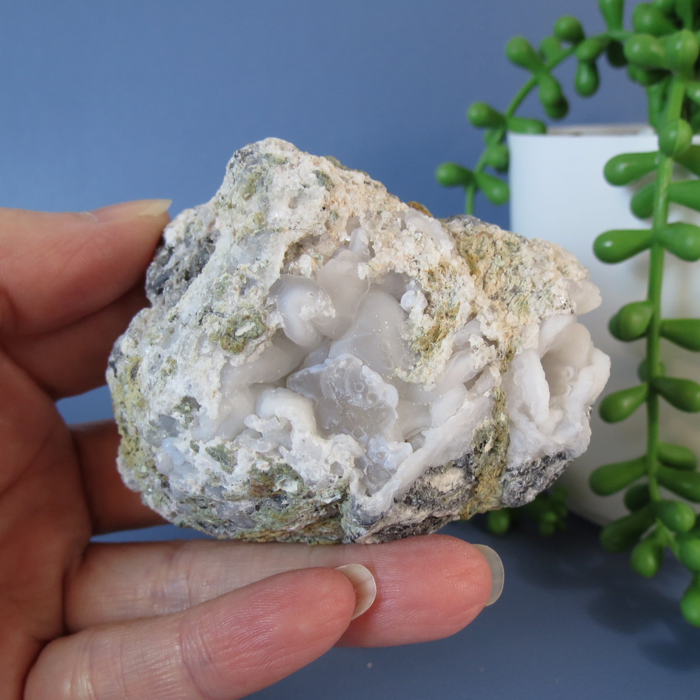 Trancas Geode - Crazy Chalcedony -Tra16a