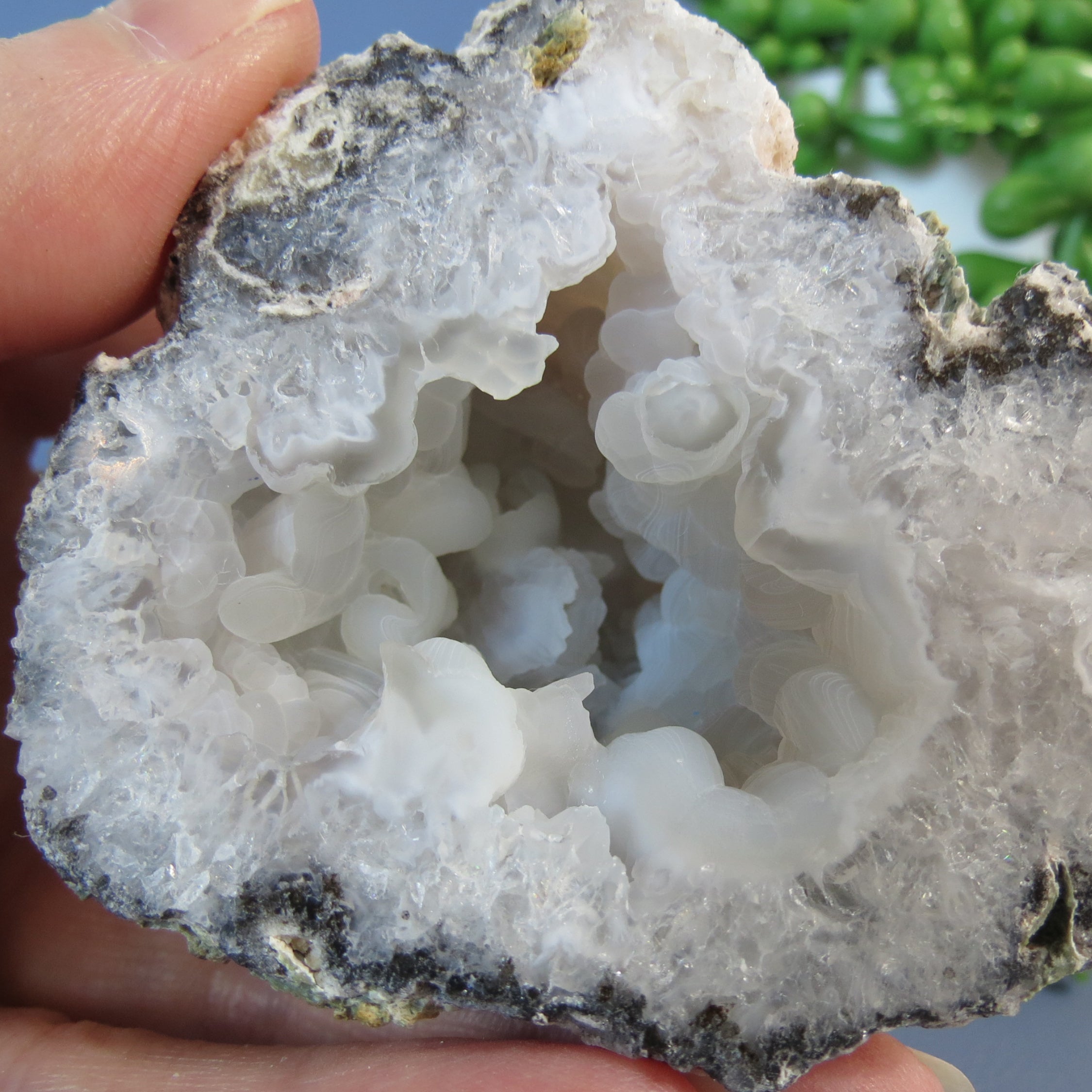Trancas Geode - Crazy Chalcedony -Tra16b