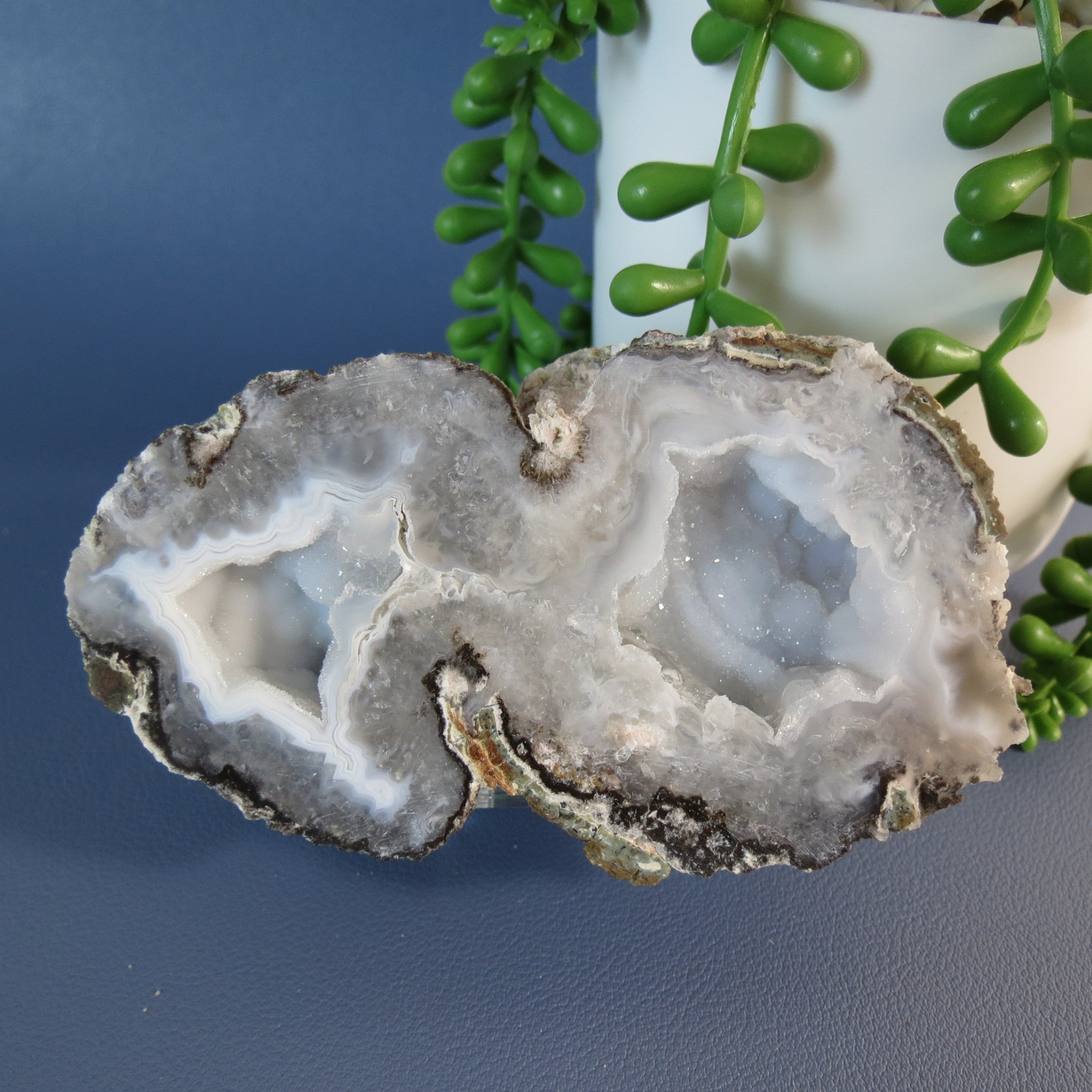 Trancas Geode - Double Bubble, White Agate Banding & Drusy - Tra21a