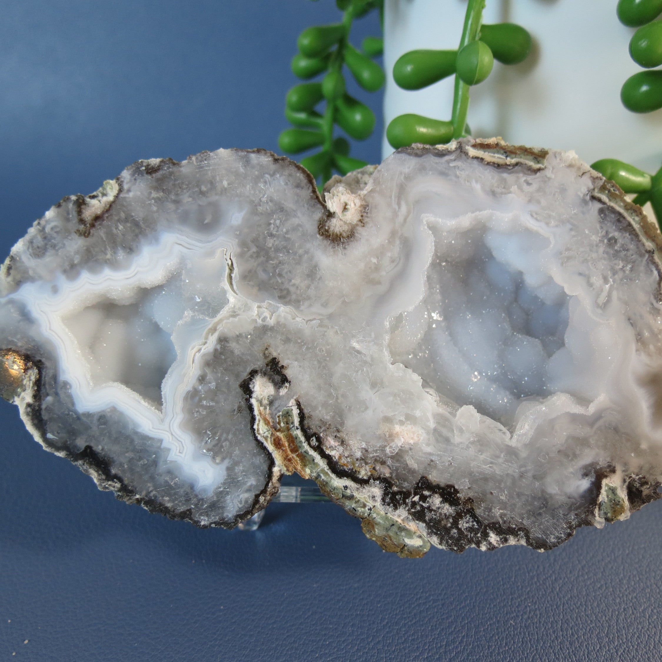 Trancas Geode - Double Bubble, White Agate Banding & Drusy - Tra21a