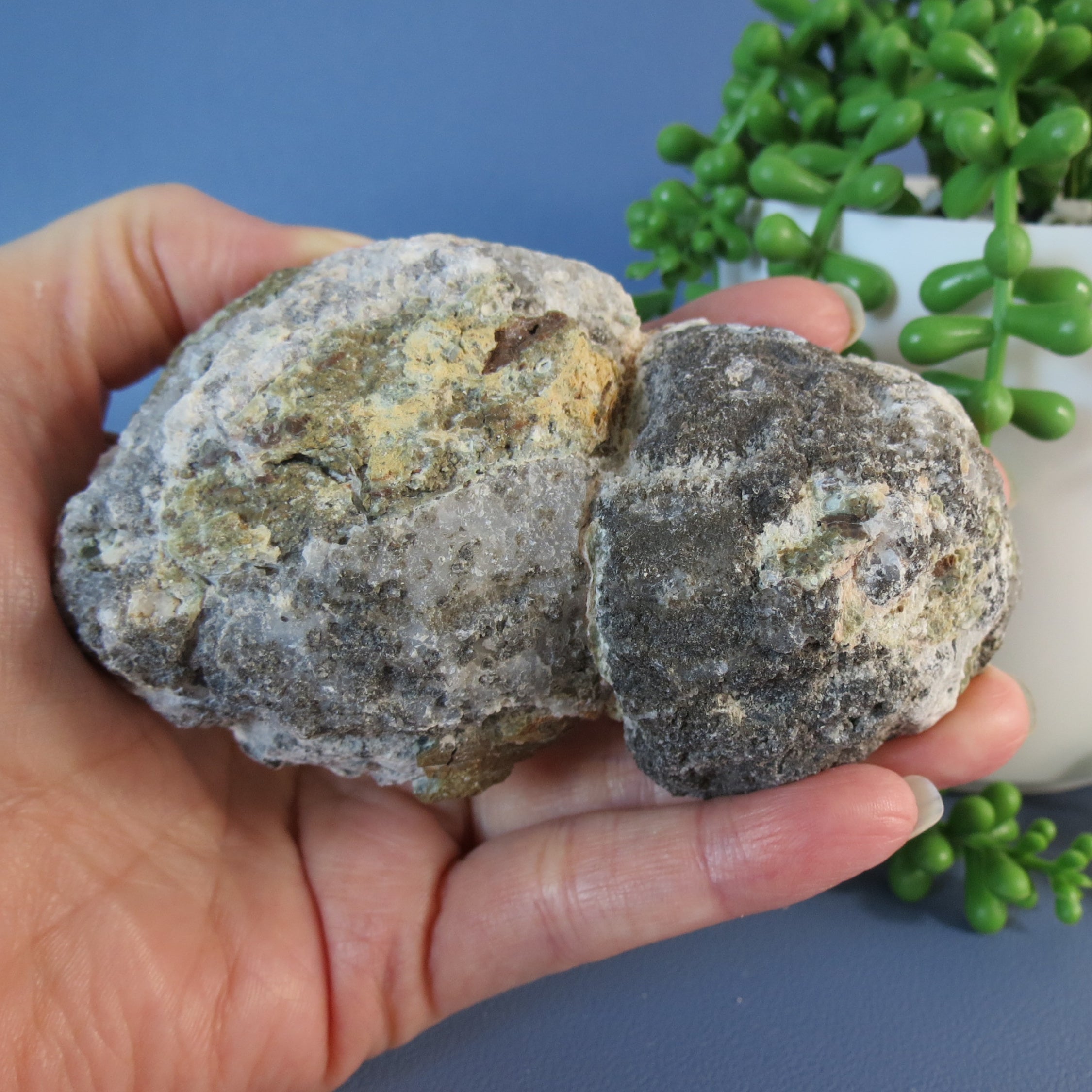 Trancas Geode - Double Bubble, White Agate Banding & Drusy - Tra21a