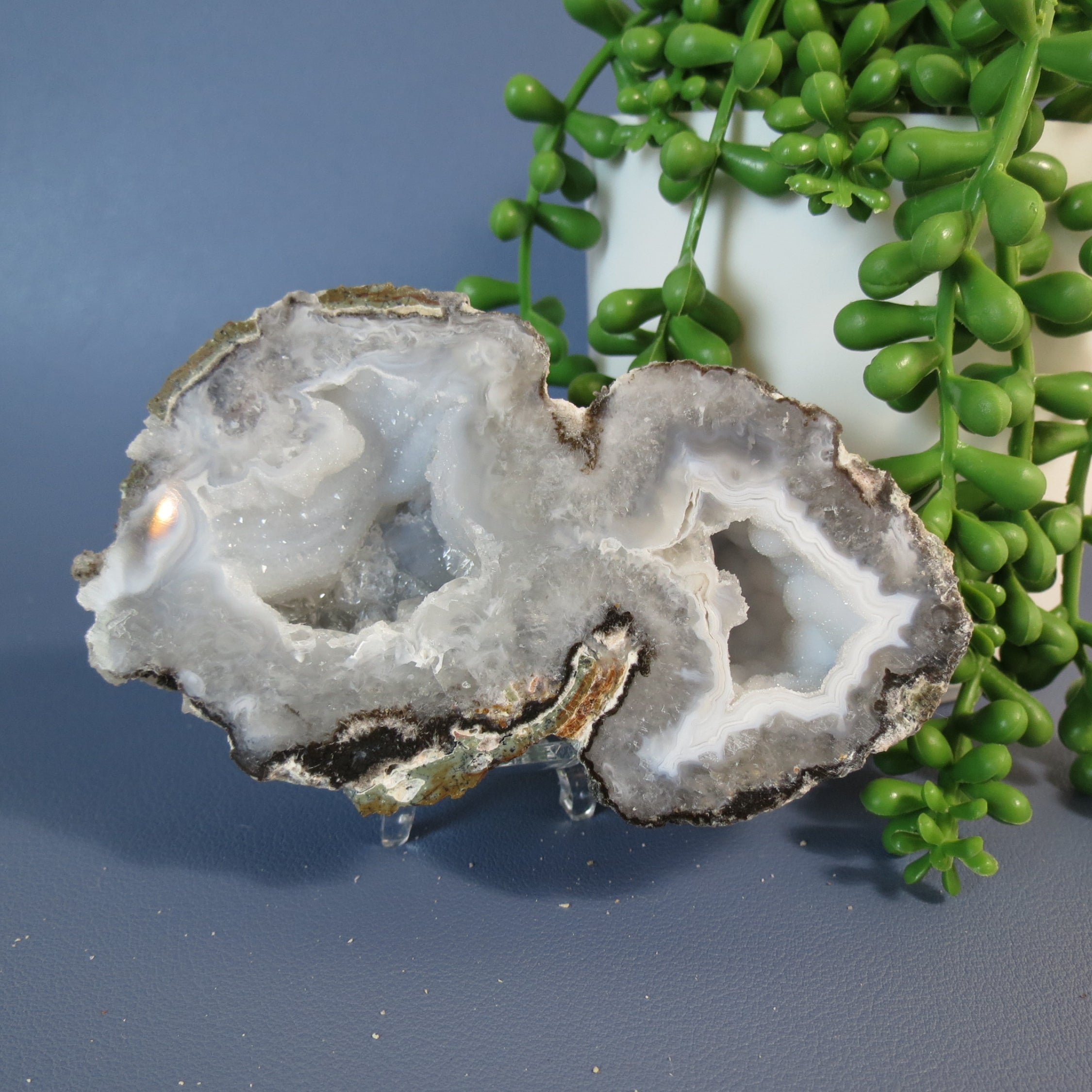 Trancas Geode - Double Bubble, White Agate Banding & Drusy - Tra21b