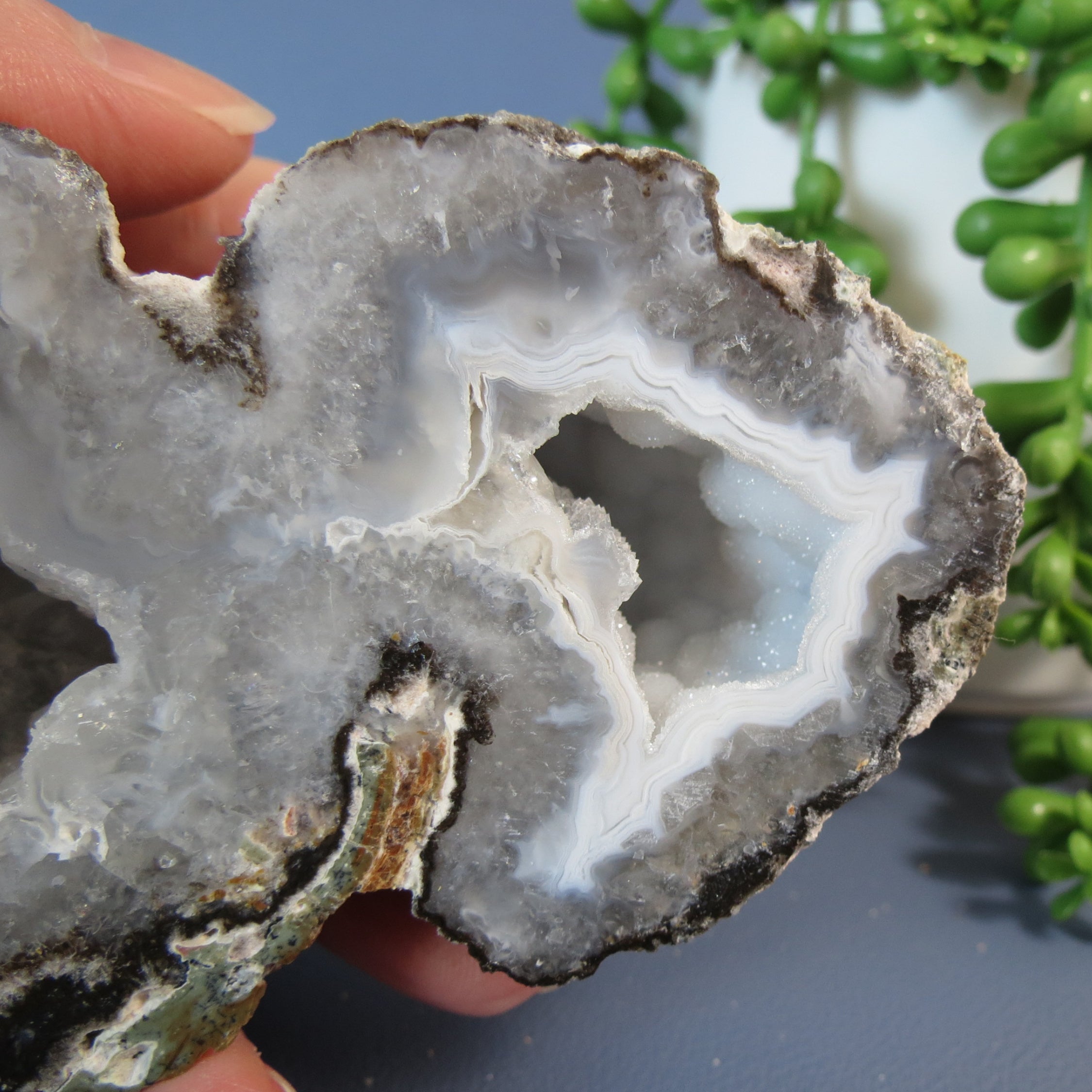 Trancas Geode - Double Bubble, White Agate Banding & Drusy - Tra21b