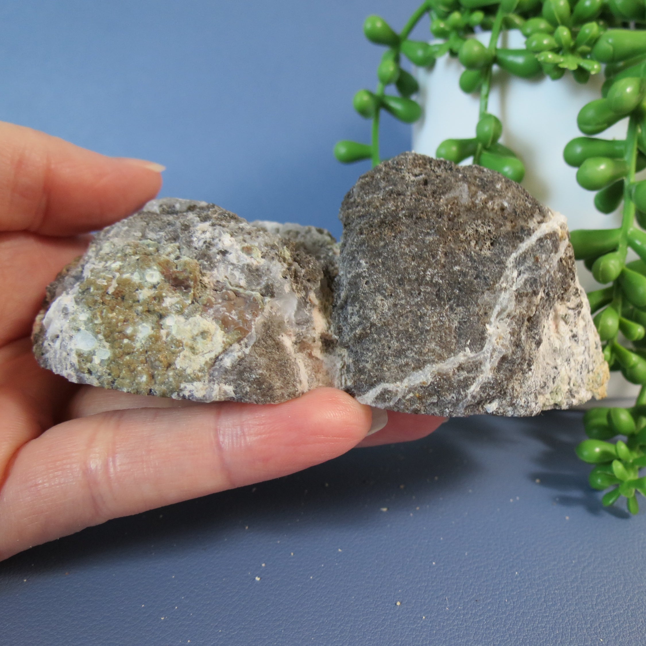 Trancas Geode - Double Bubble, White Agate Banding & Drusy - Tra21b