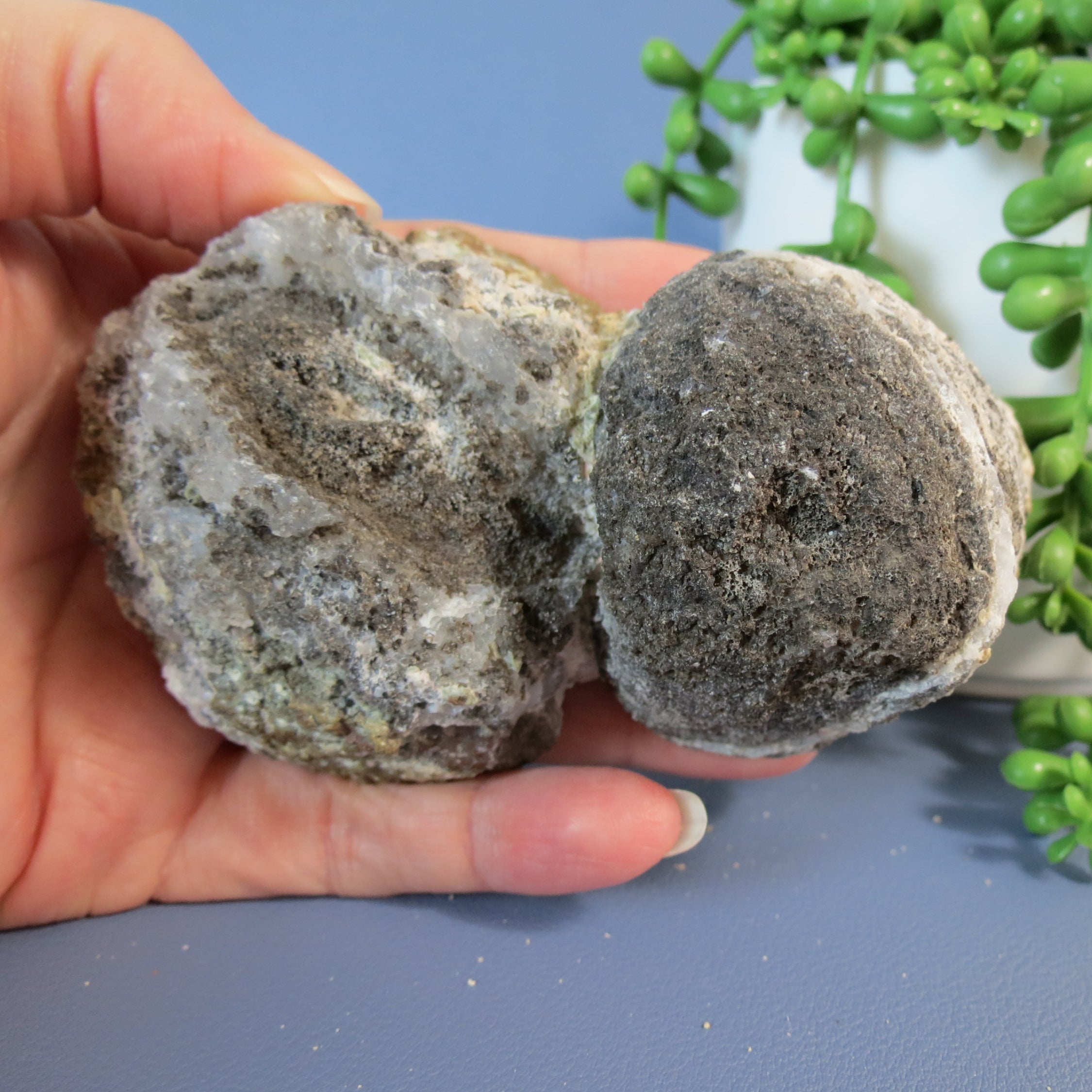 Trancas Geode - Double Bubble, White Agate Banding & Drusy - Tra21b