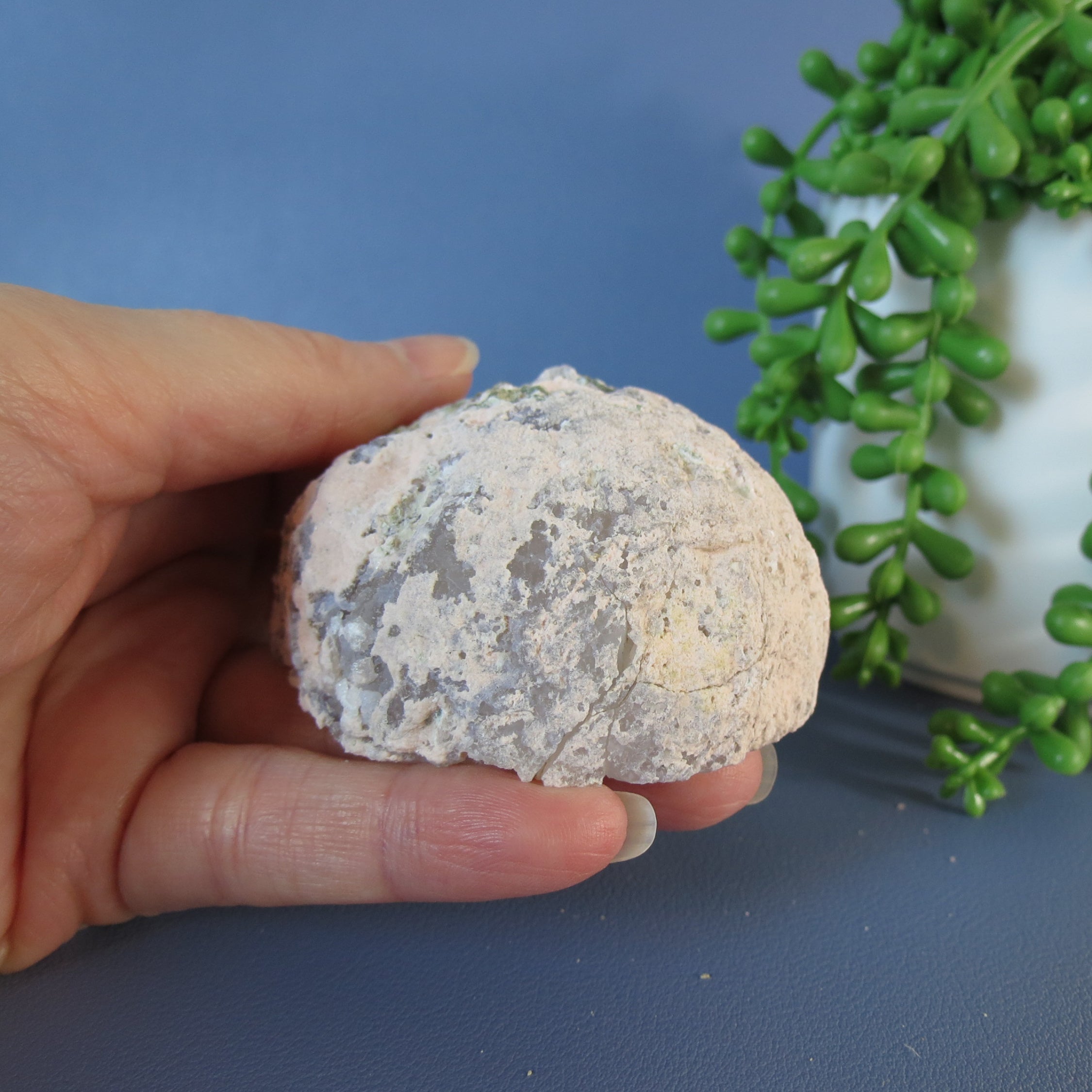 Trancas Geode - Pink, Chalcedony, Botryoidal, Drusy - Tra24a